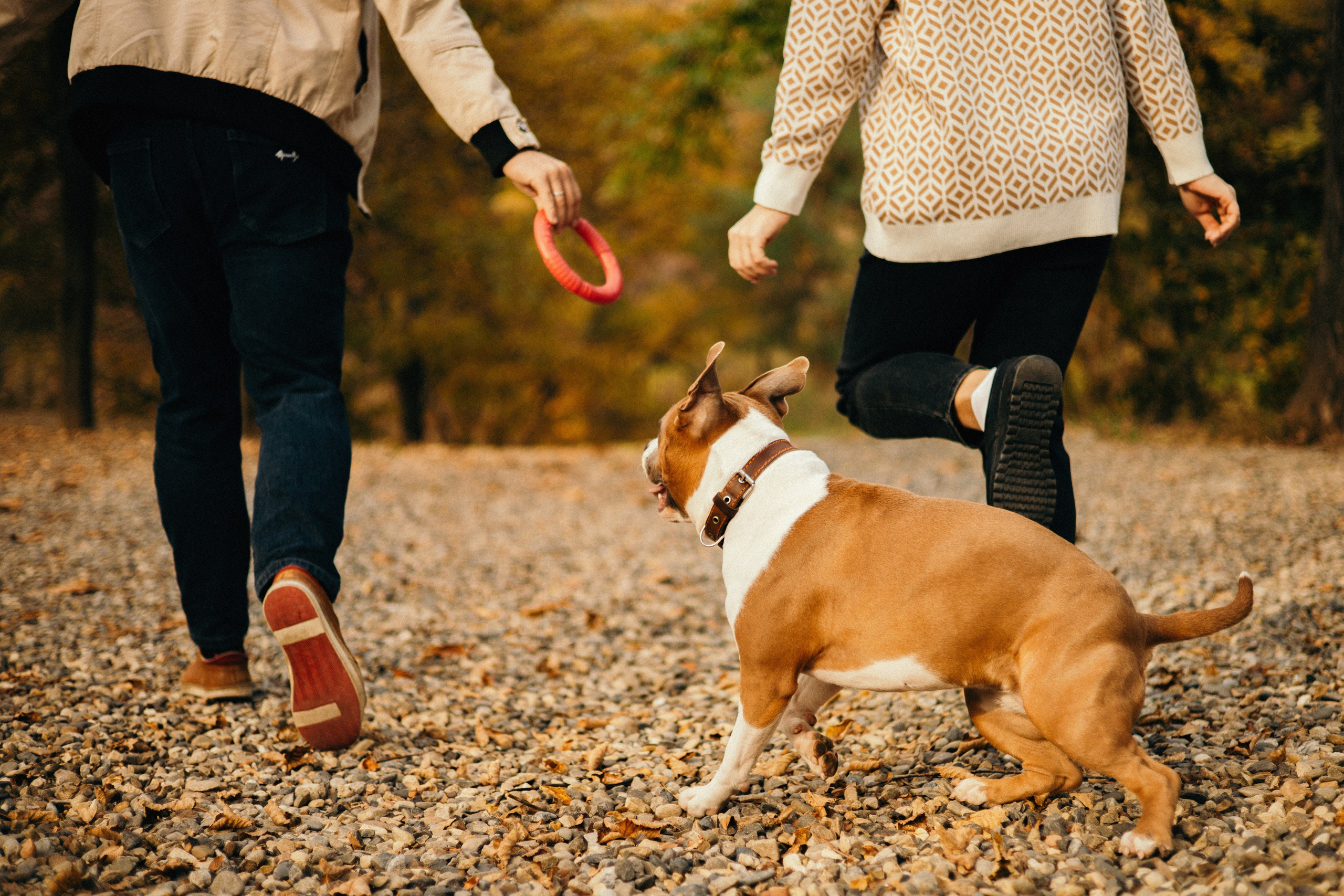 Лаффи и ее семья. Фотограф — анималист Владивосток, Алина