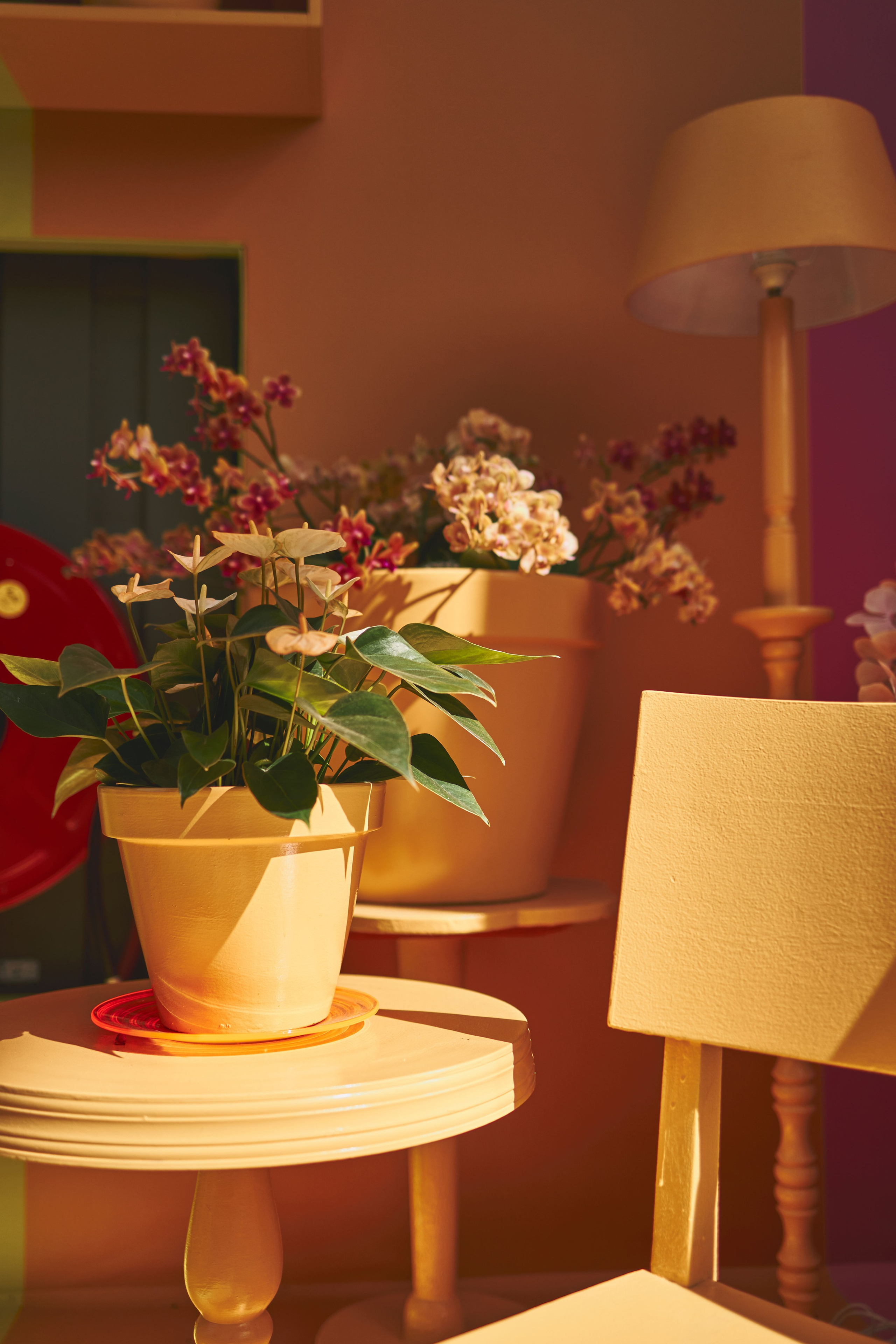 Details. Фотограф Макс Давыдов