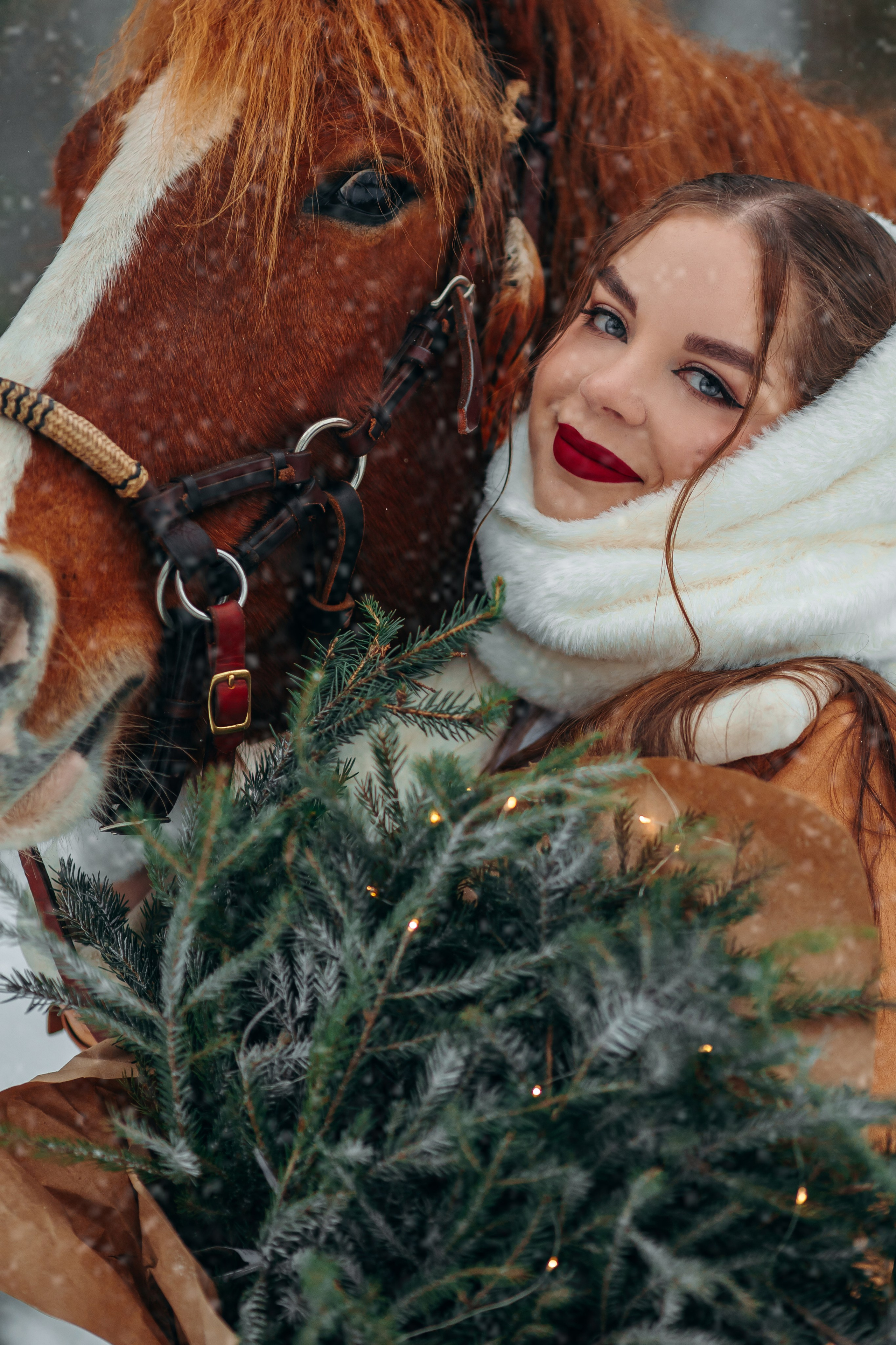 Тариф Новогодний 2025-2026. Анна Молчанова конный фотограф в Тюмени | фотосессии с лошадьми Тюмень