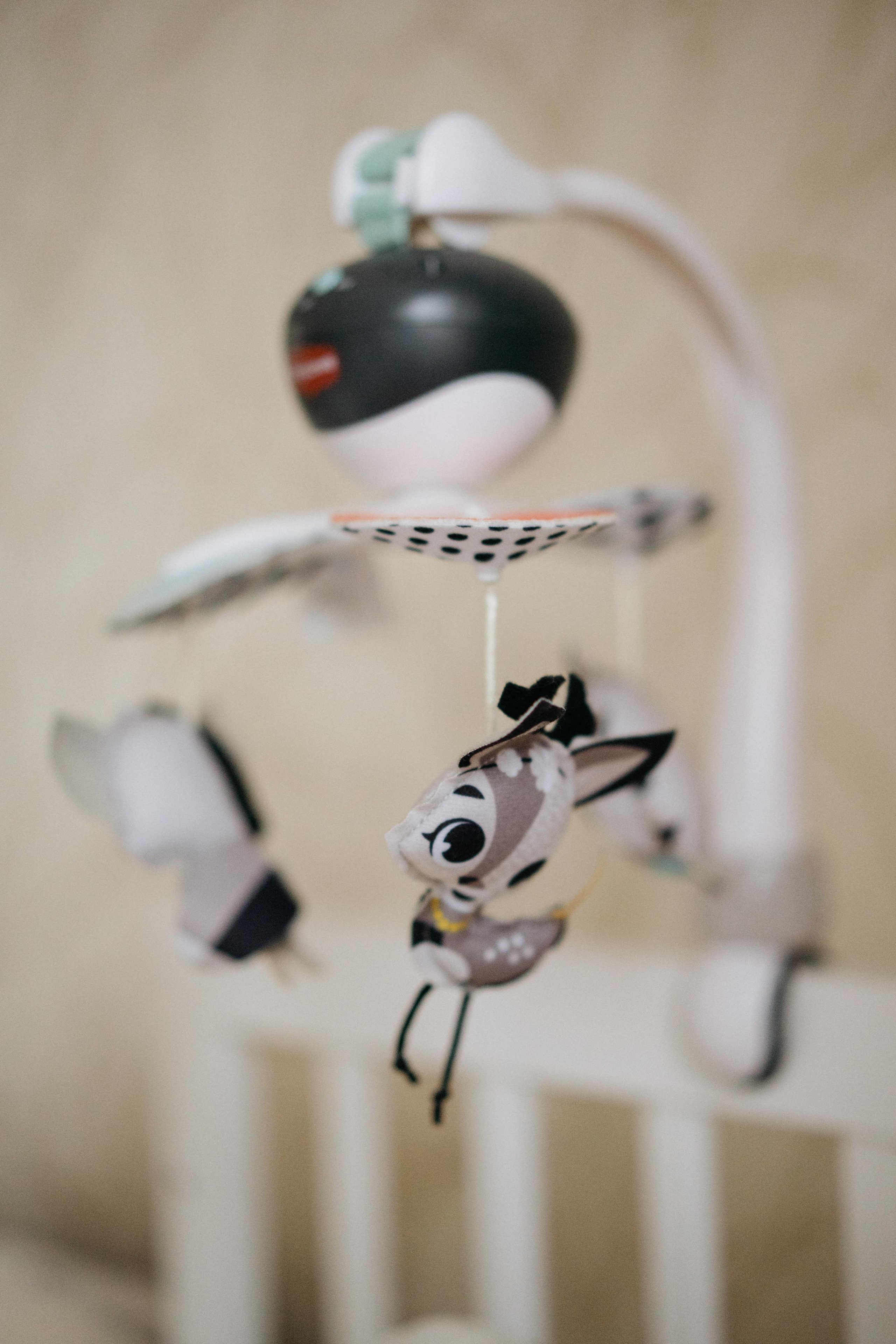 Кира. Свадебный и семейный фотограф в Калининграде Анастасия Гриценко