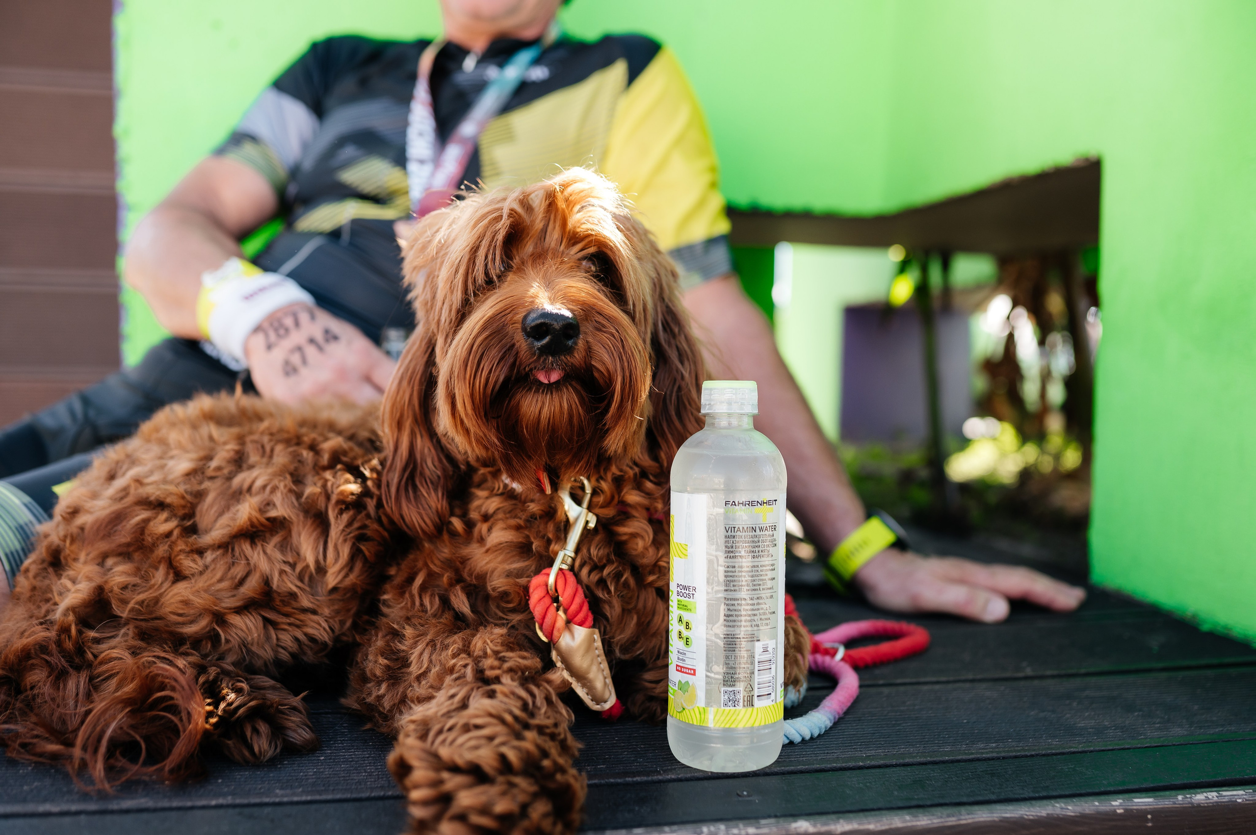 IRONSTAR (OZON FRESH, FAHRENHEIT, STELLAR AQUA). Фотограф Илья Бызов, Свадебный и репортажный фотограф Сочи