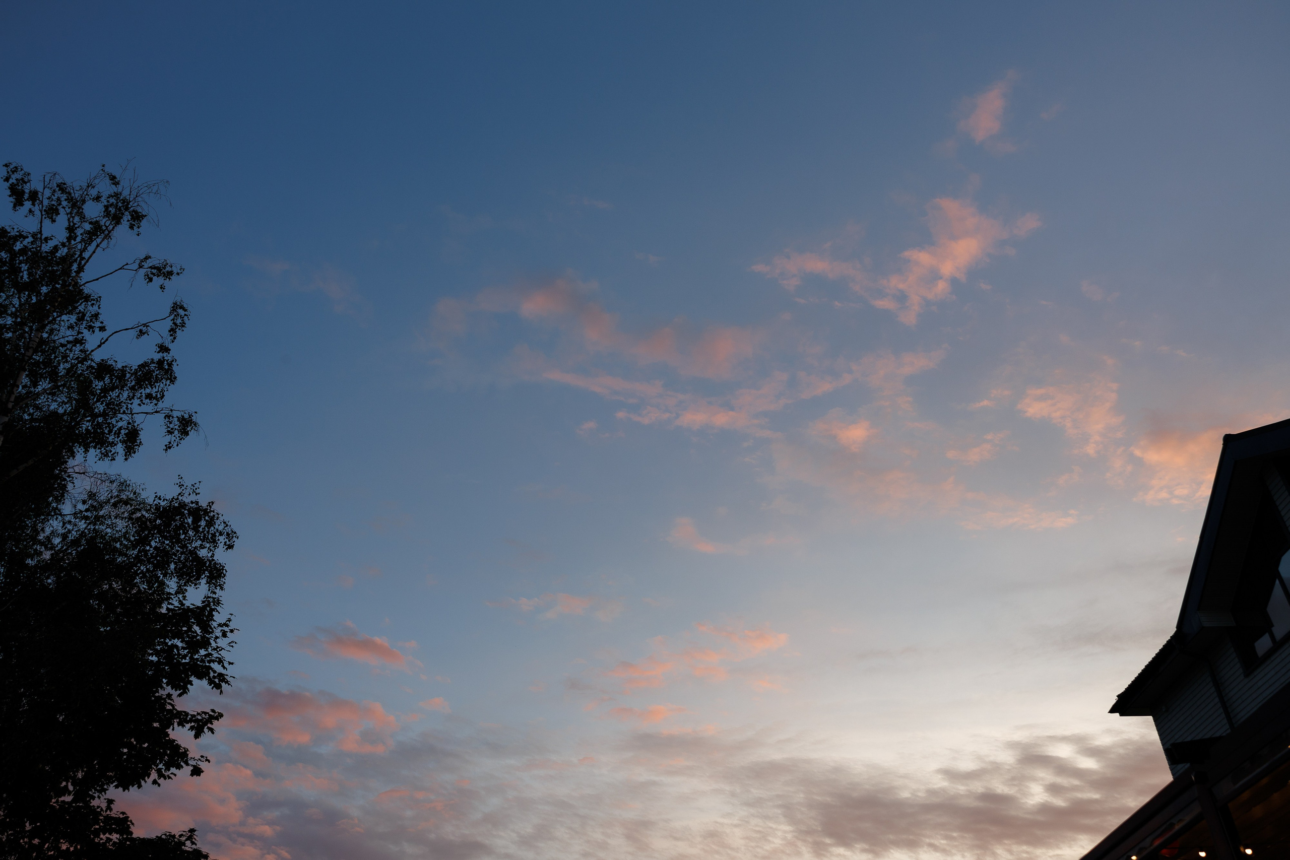 КОРПОРАТИВ DR.HUG. Свадебный и event-фотограф Иван Волнухин