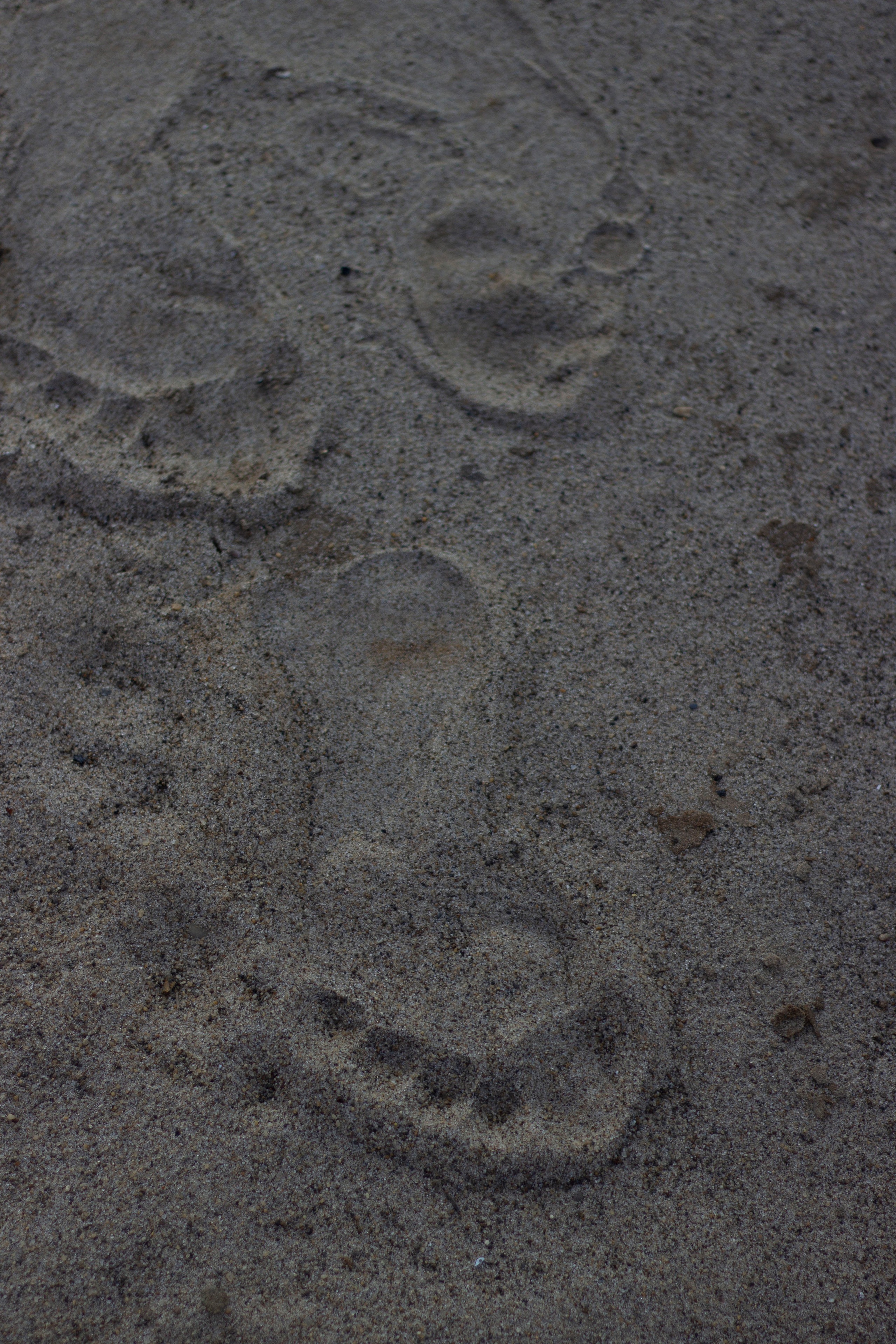 Deserted beach. Фотограф Димитровград Казань Валерия Владимиркина