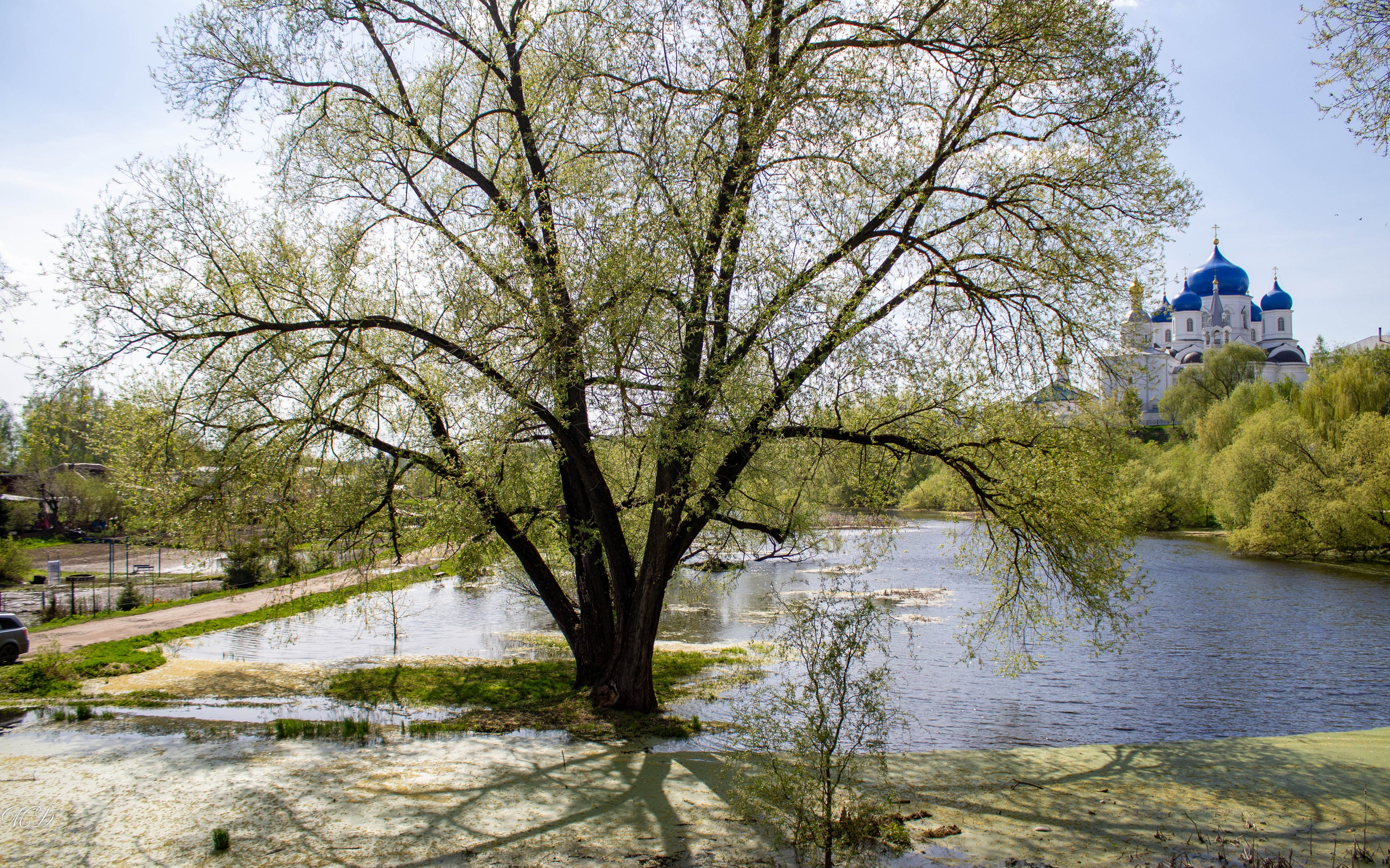 Боголюбово. Михаил Дёгтев - фотограф