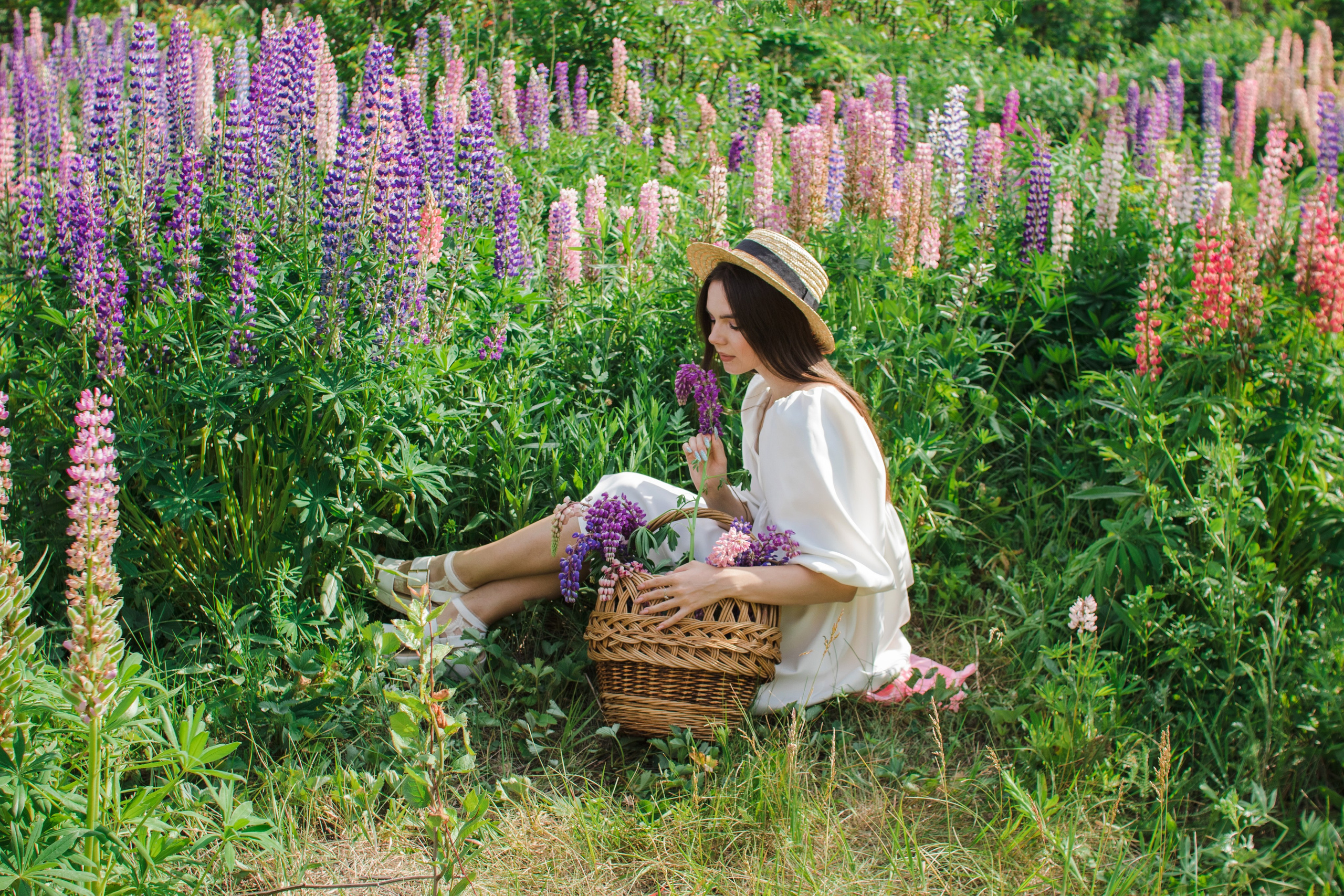 Девушках в люпинах