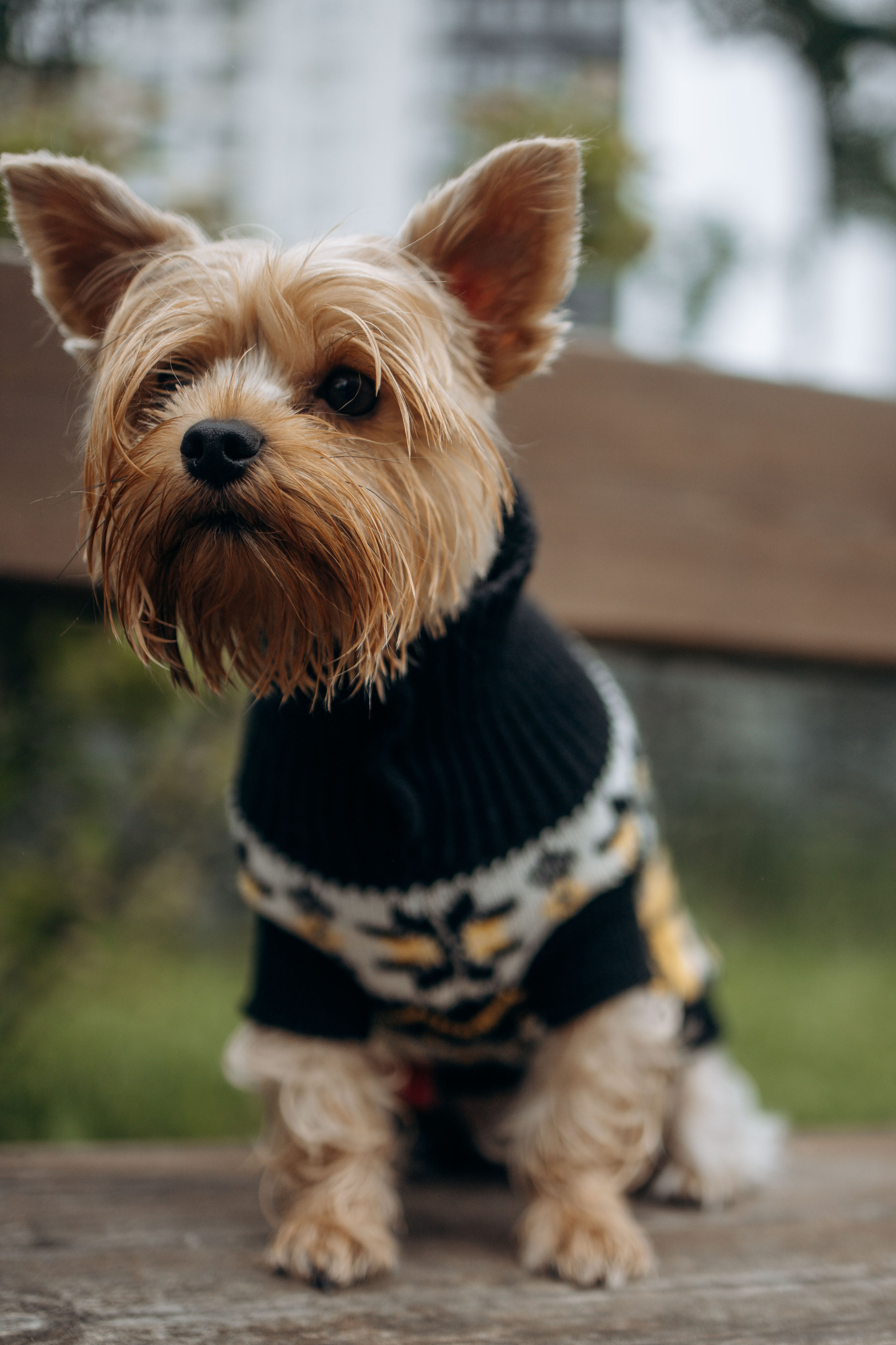 Семья Марины