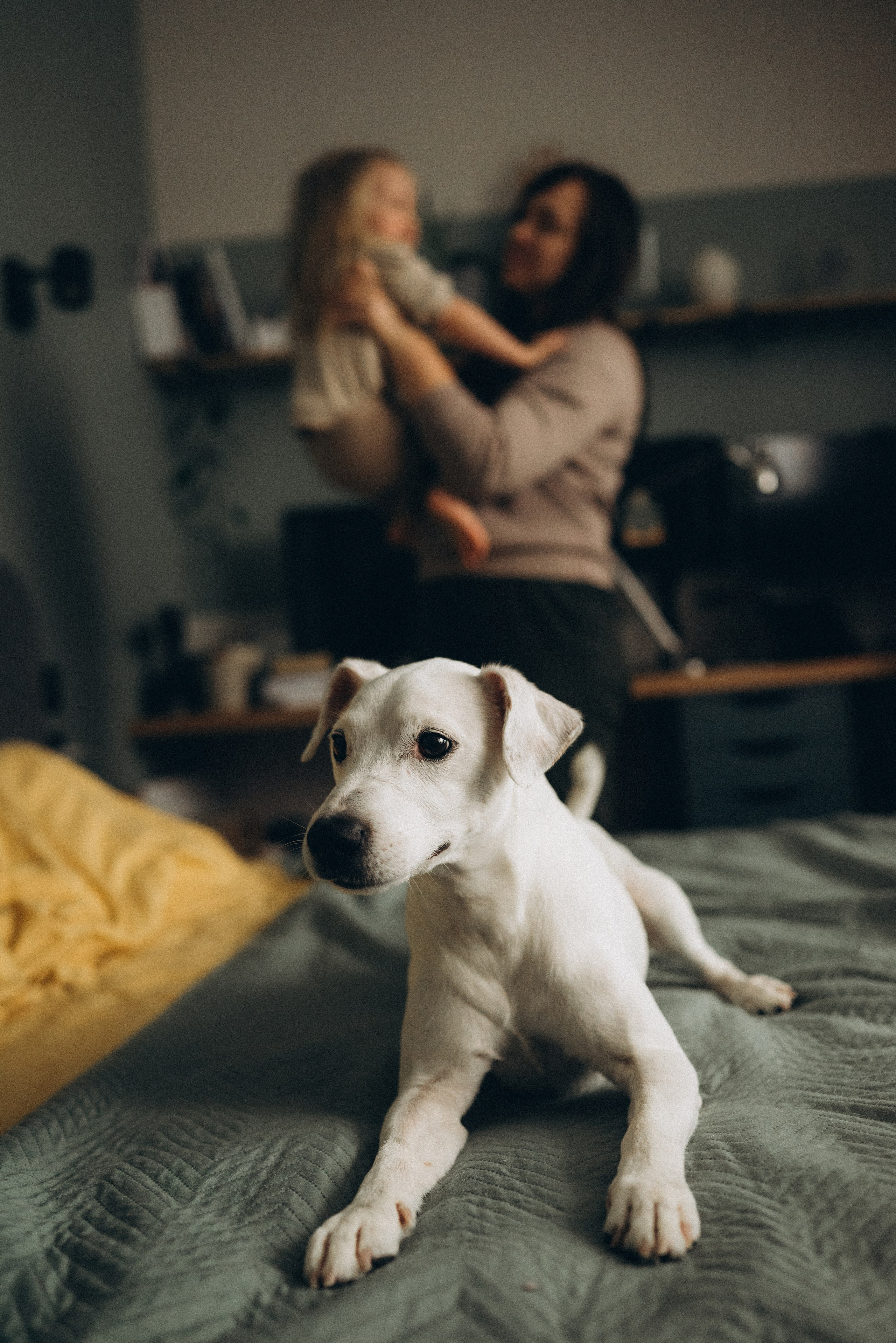 Вадим, Екатерина, Федя и Алиса. Семейный фотограф Юлия Власова