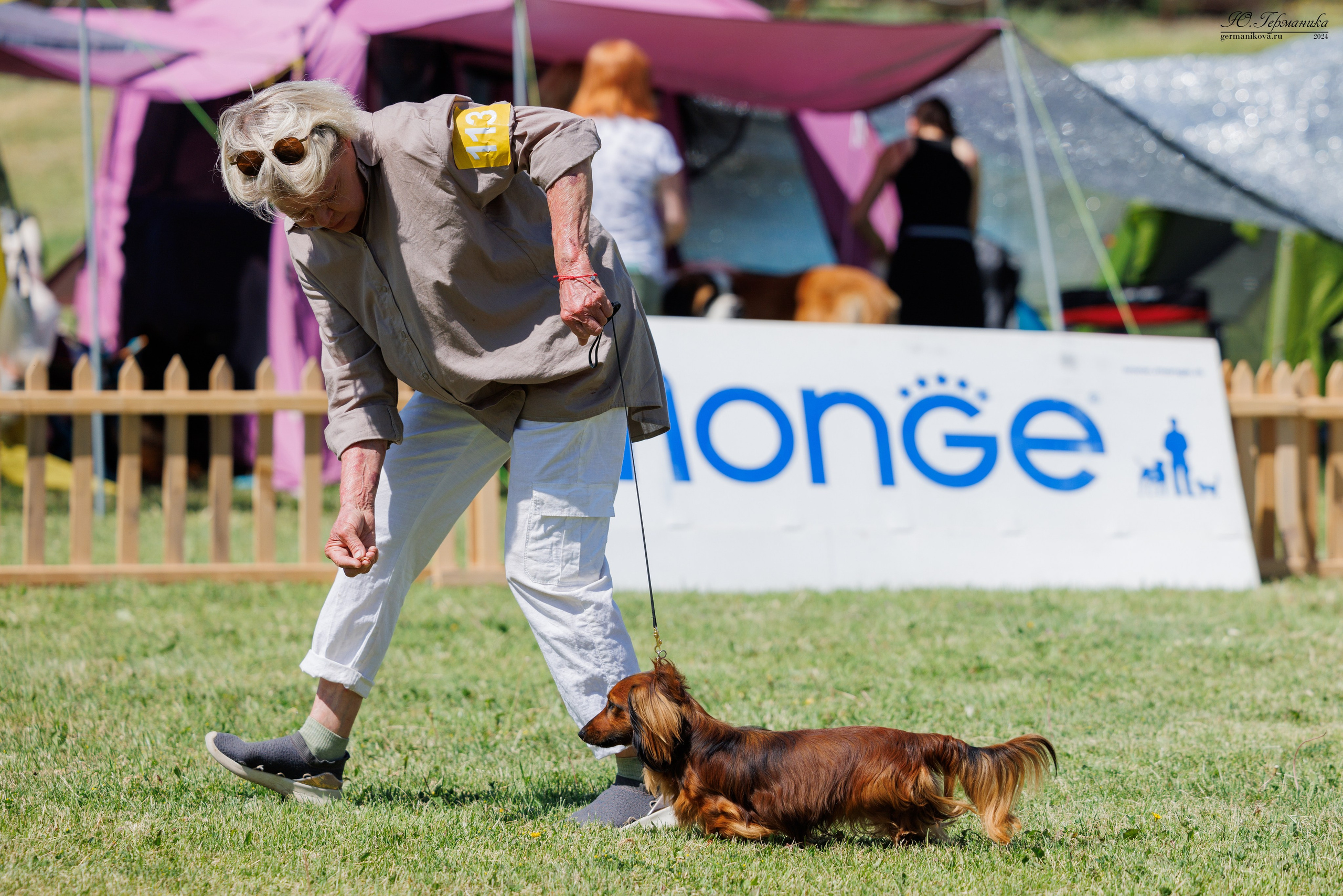 Ереван 3-5.06.2024. Фотограф-анималист Юлия Германика