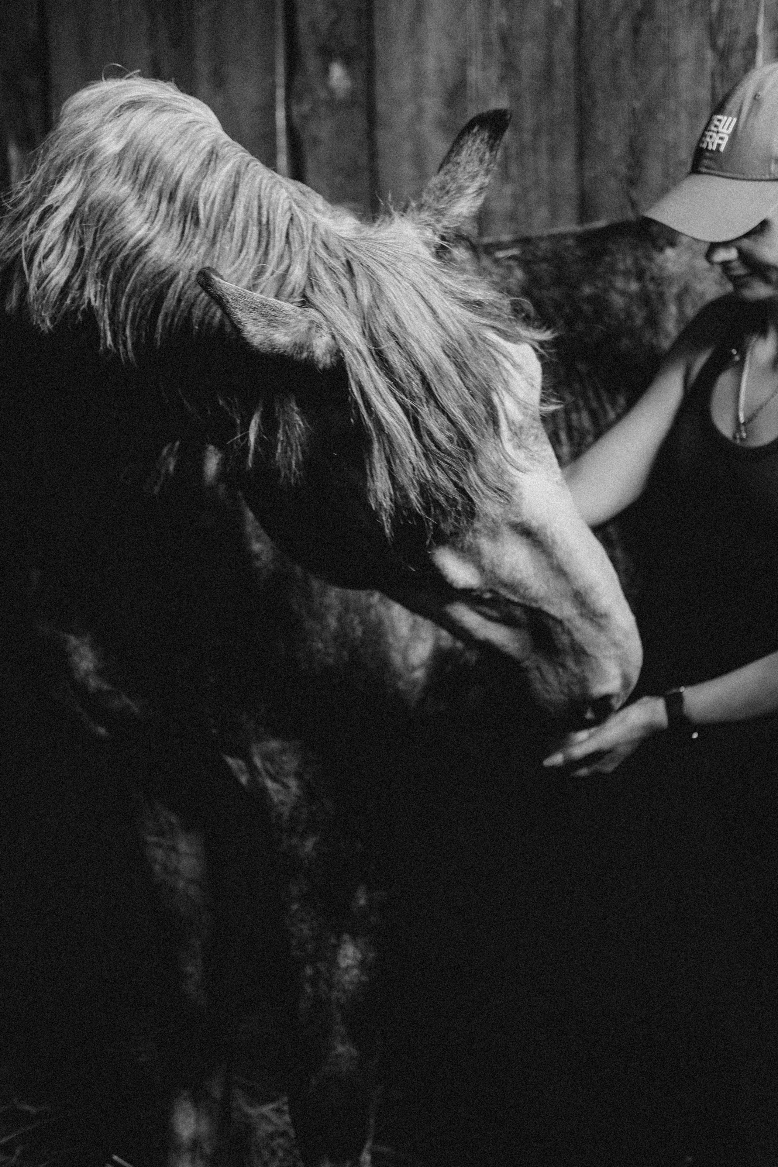 Анна. Главная