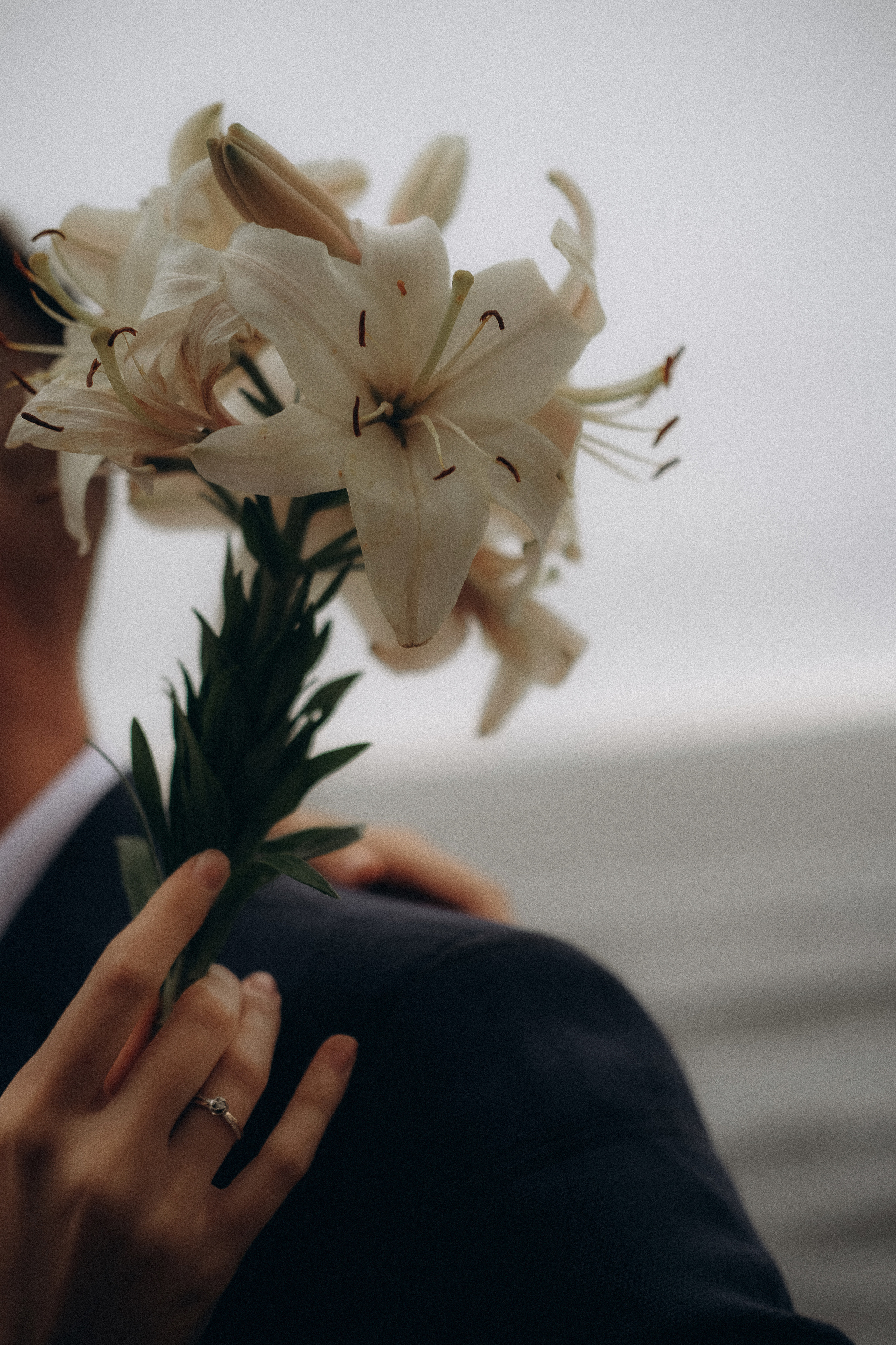 Петр | Анастасия. Главная