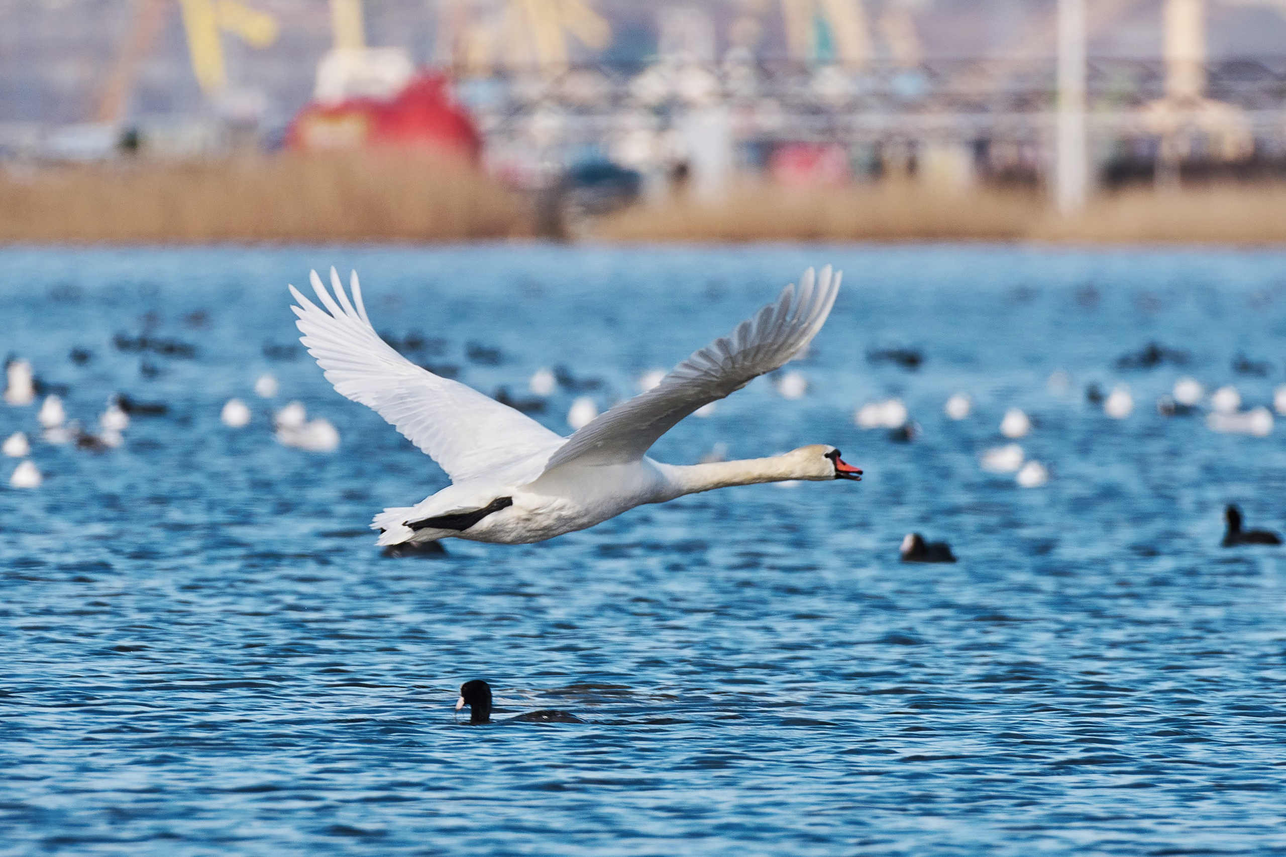 Новороссийск, Novorossiysk, Black sea, Чёрное море. Яркие фото на Чёрном море