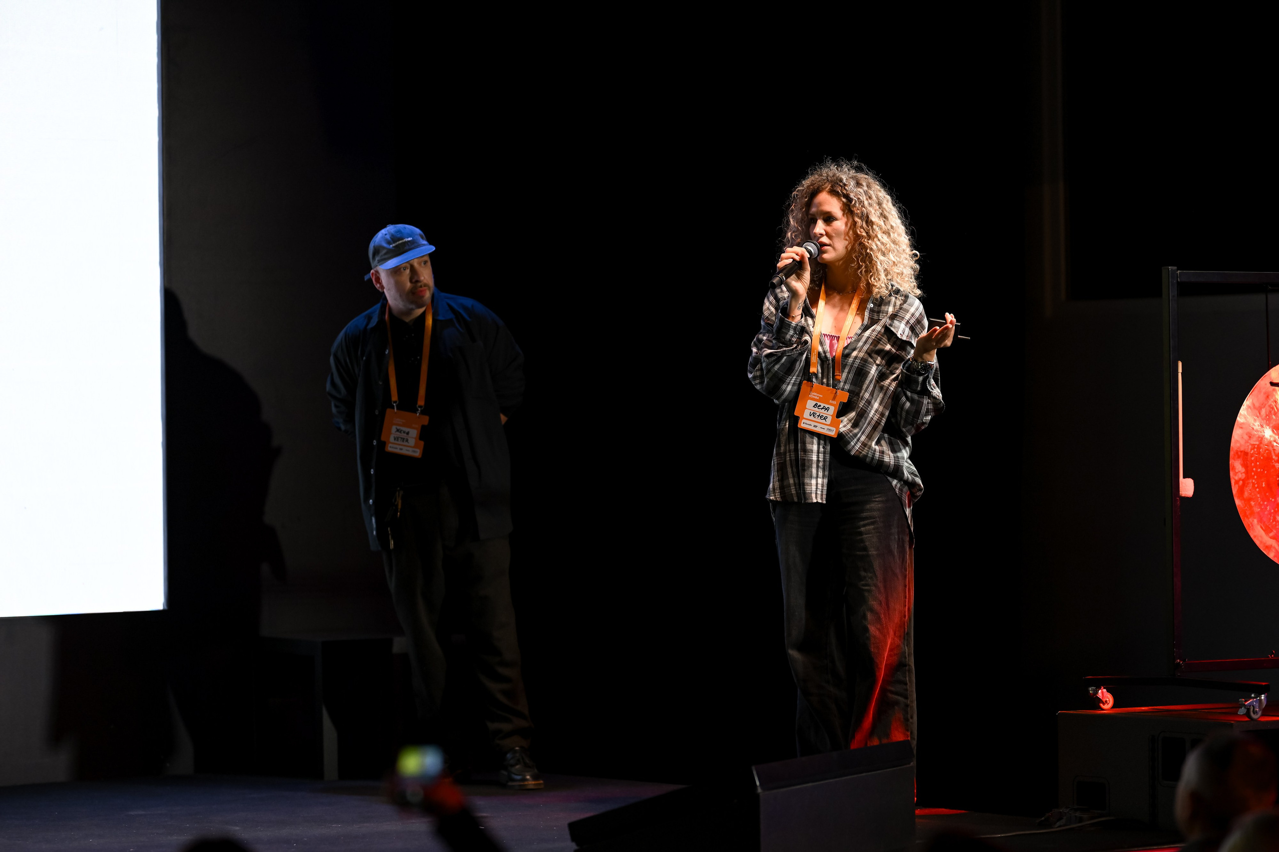 Субботин КОНФА 2025. Портфолио