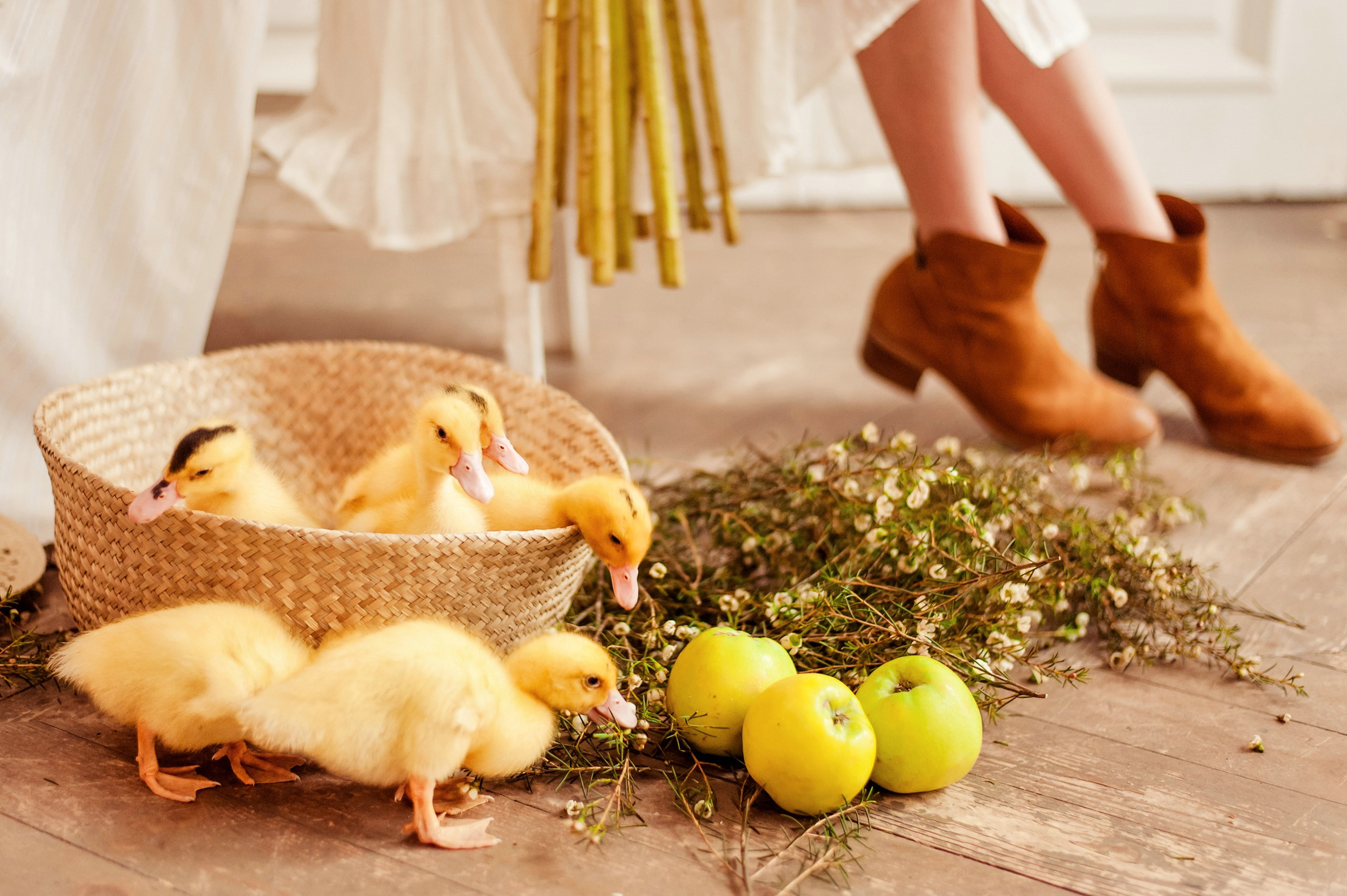 Детская студийная фотосессия. Свадебный и семейный фотограф в Москве Светлана Зоткина