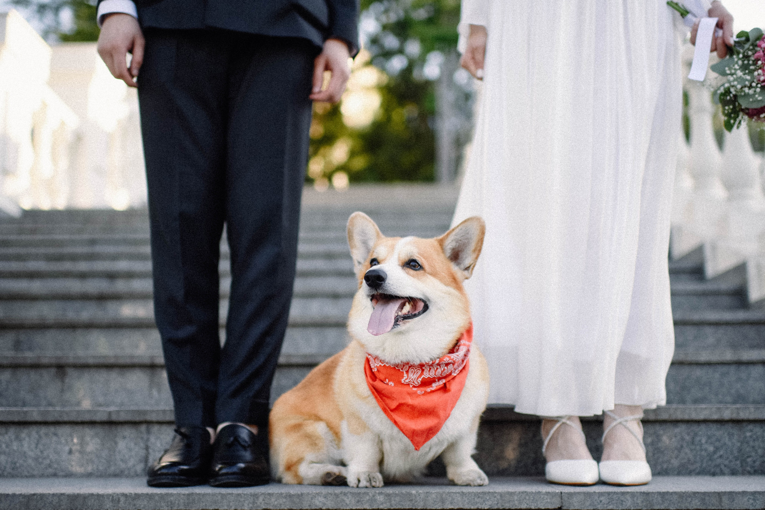 Александр и Гулизар. Главная