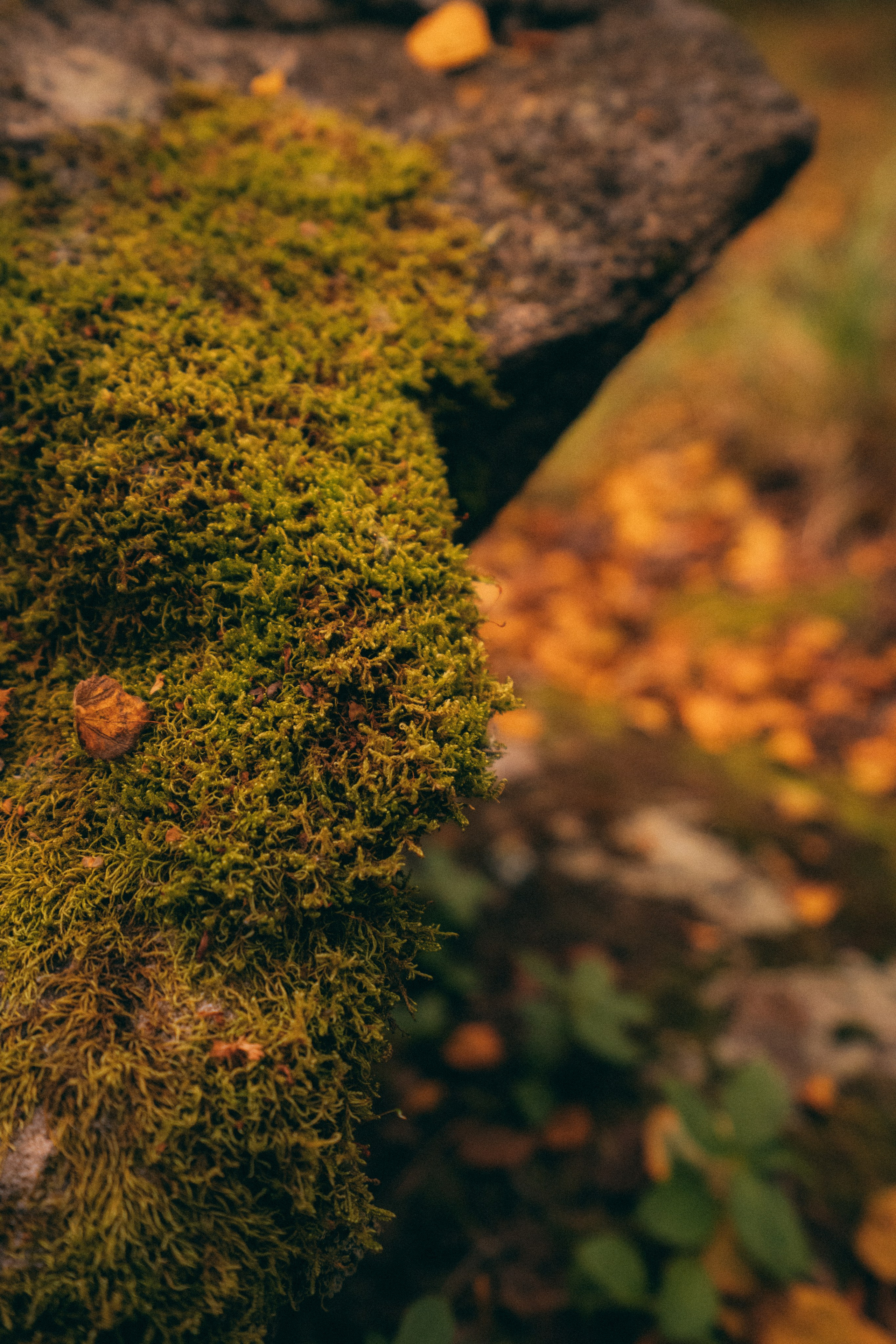 Мурманск. Фотограф Алиса Аспер