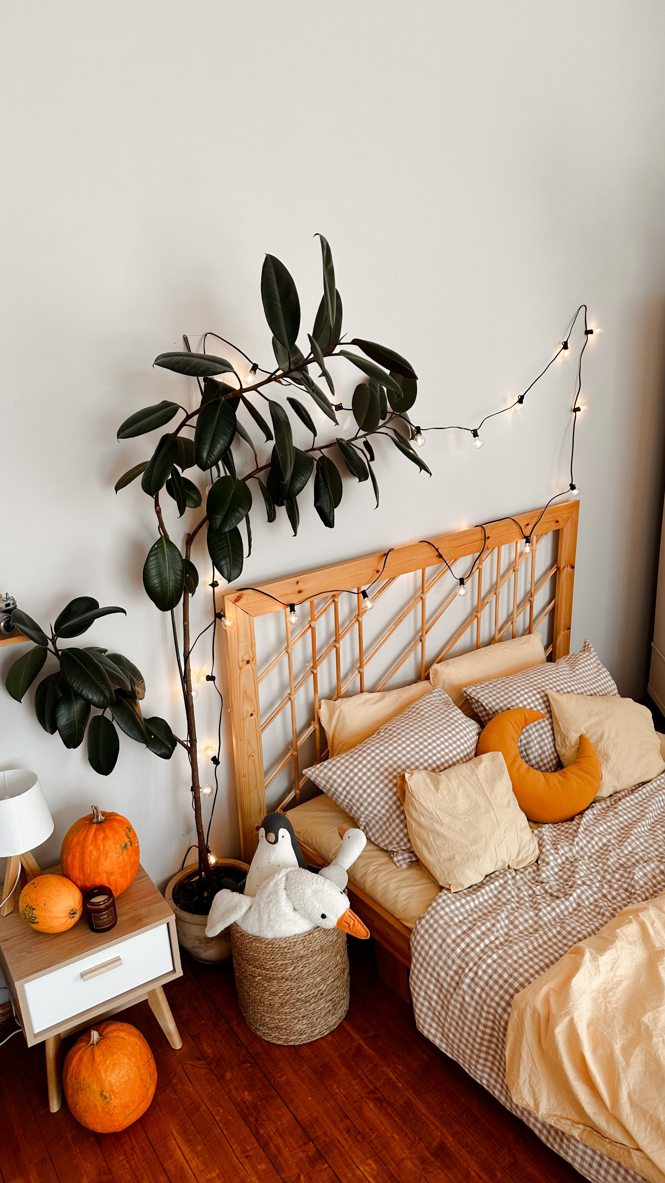 Loft Потолок, зал Потолок. Свадебный семейный и детский фотограф в Краснодаре Карина Федоровская