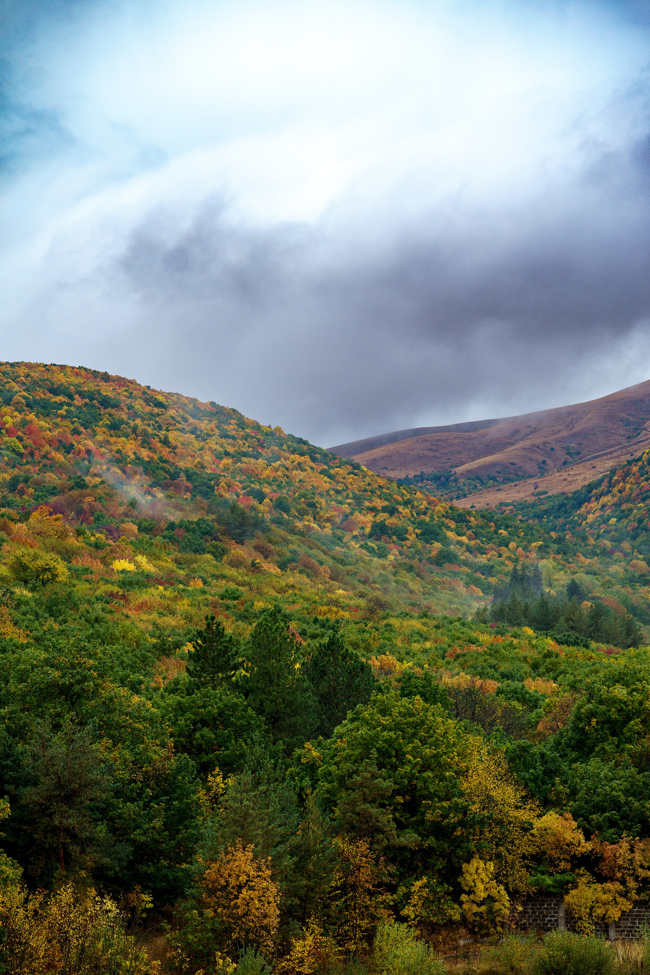 Landscapes. Oleg Kozachok — Photographer with Protanopia | Portraits, Texture & Light