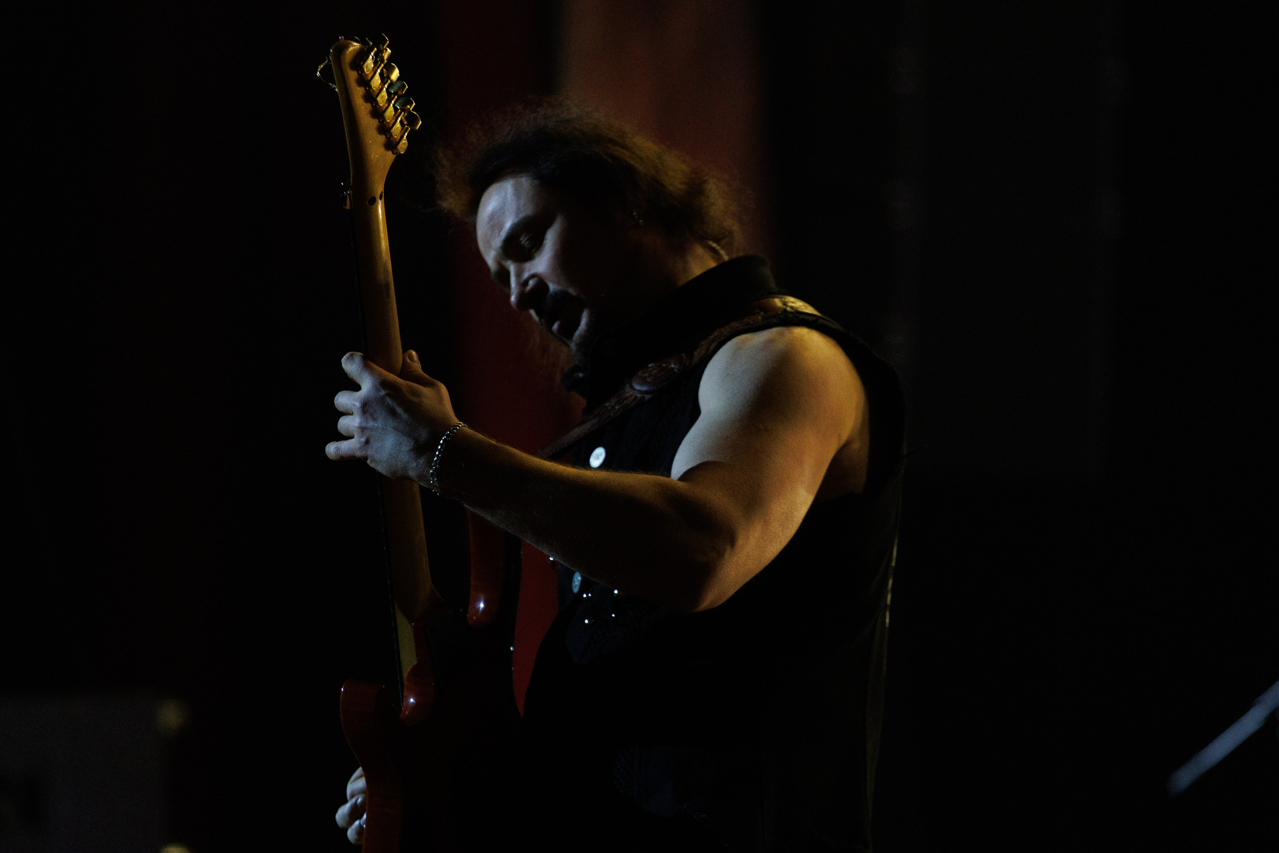 «КИПЕЛОВ». Photomantis