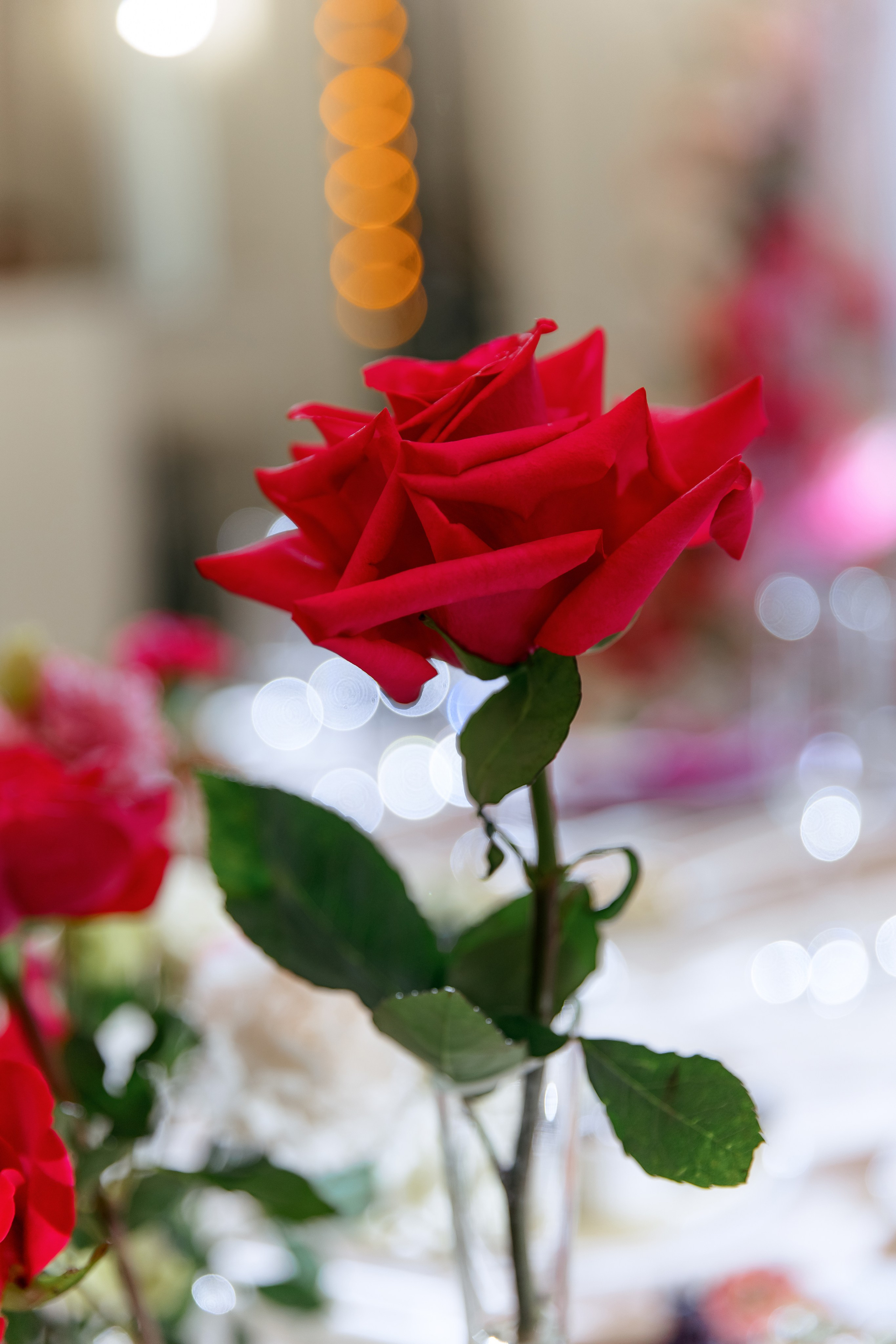 Роман и Татьяна. Свадебный и портретный фотограф — Мария Костина