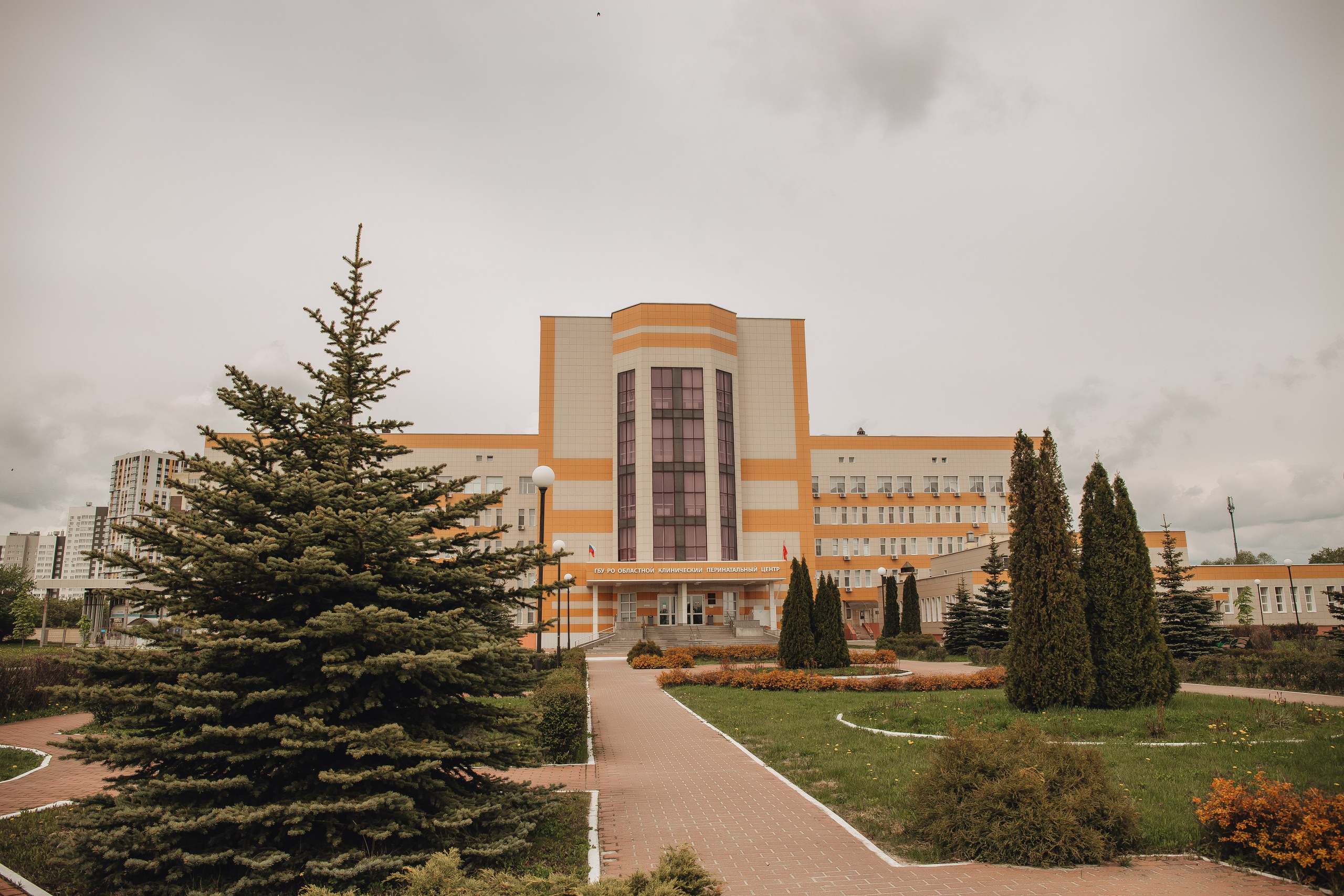 Выписка Софии. Свадебный и семейный фотограф Пушкин Царское Село СПБ Питер Санкт-Петербург и Рязань Ольга Козлова