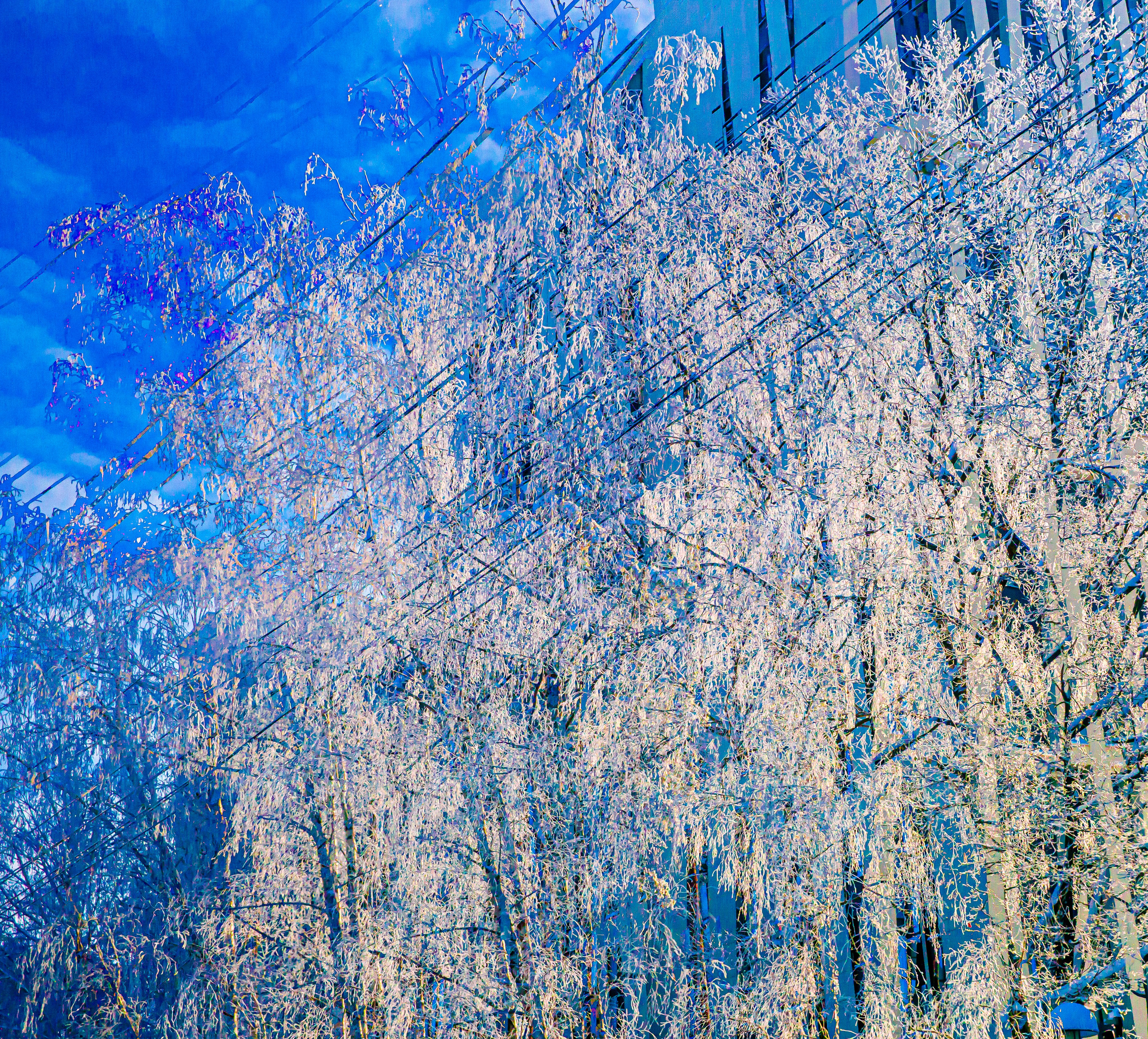 — 29С, 2026. АННА ВЕРСО / ANNA VERSO | Визуальный художник / Visual artist