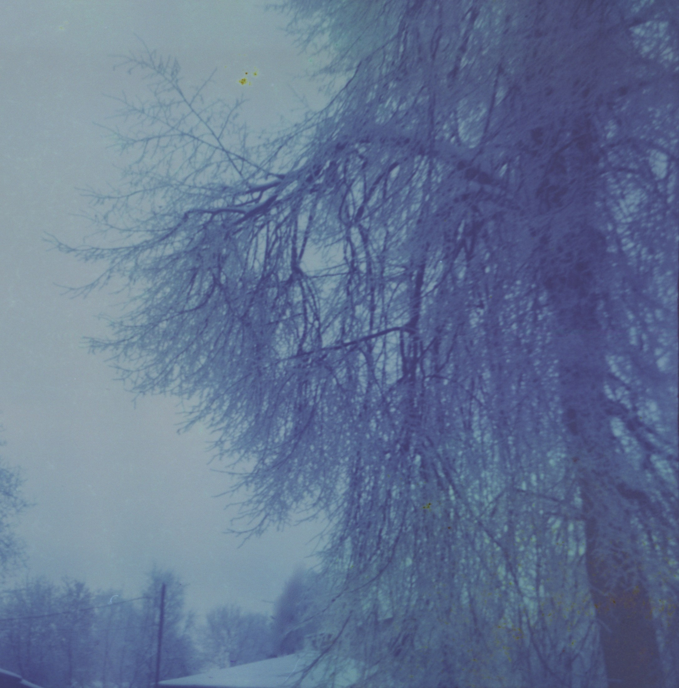 Татьяна Белякова — Фотохудожник | Концептуальная аналоговая фотография