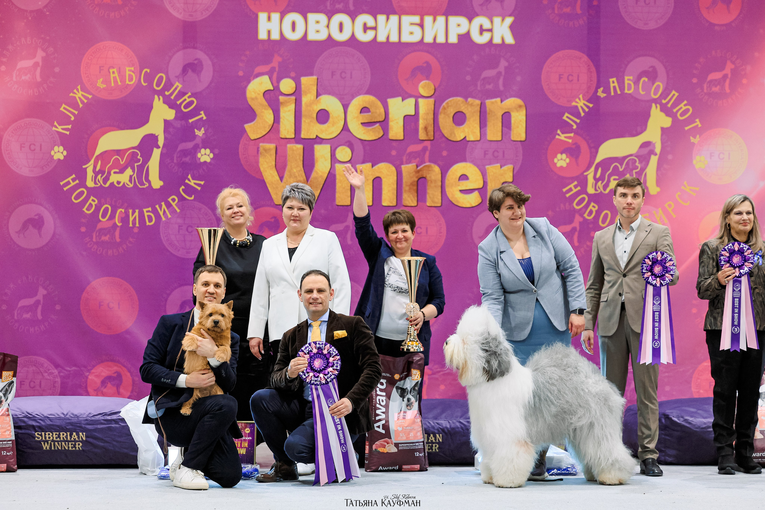 выставка собак в Новосибирске ABSOLUT WINNER-2026, Рейтинговая выставка собак