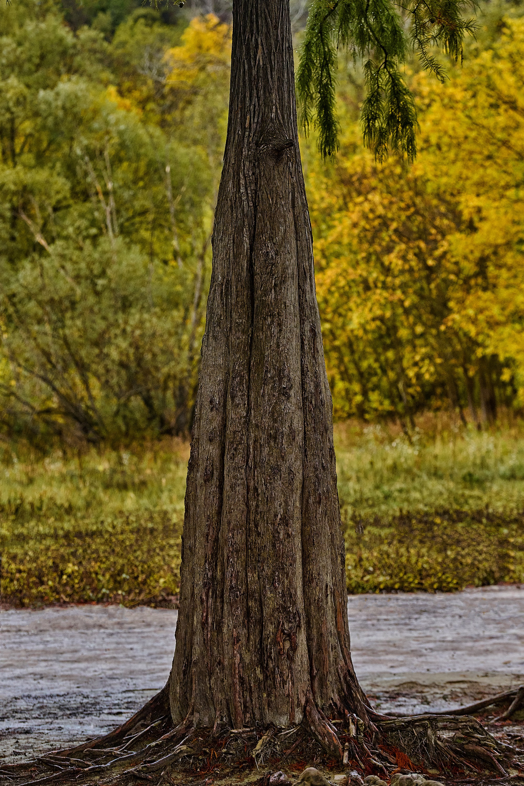 Текстуры и другие фоны. Textures and other. Яркие фото на Чёрном море