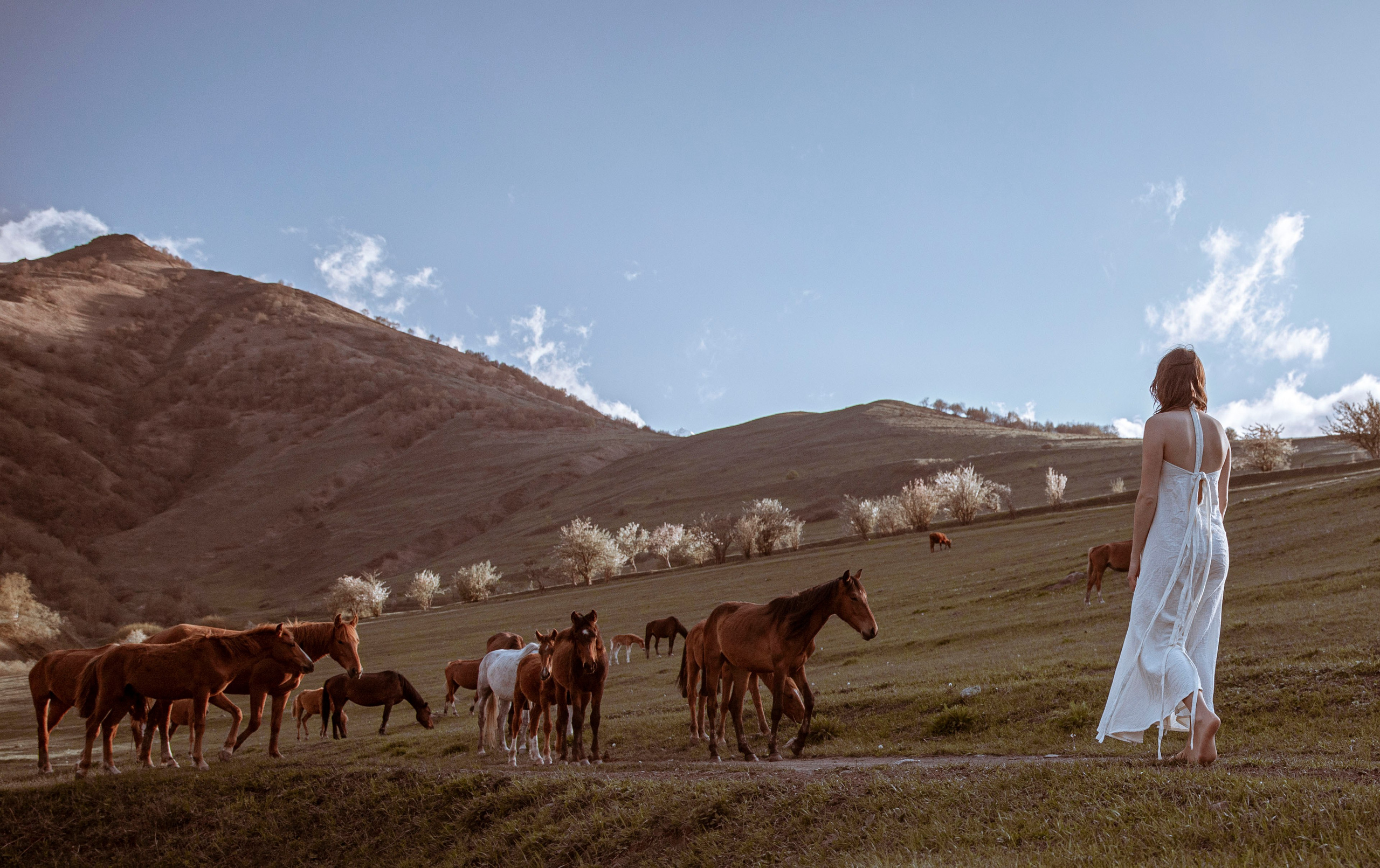 Осетия. Даргавс / Мидаграбины