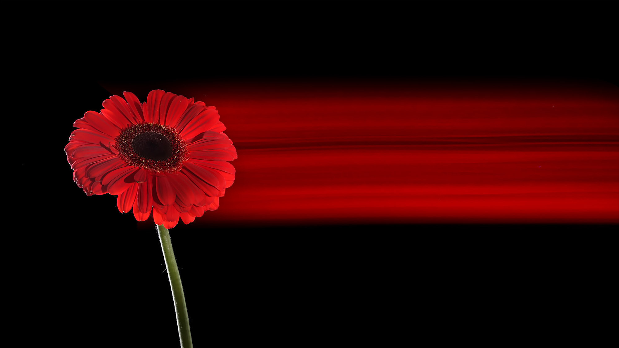 Предметный фотограф Елена Полякова. Москва