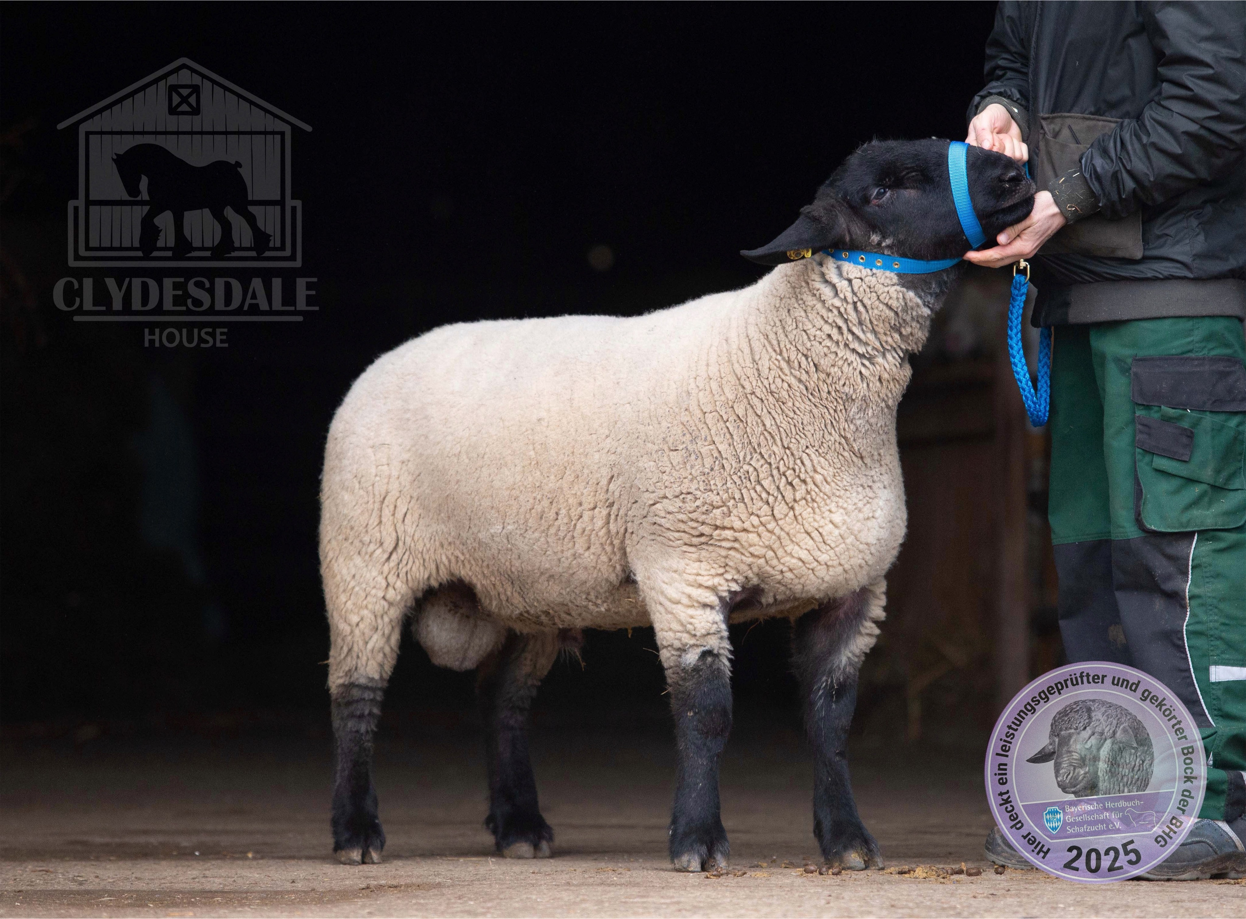 SUFFOLK. CLYDESDALE HOUSE