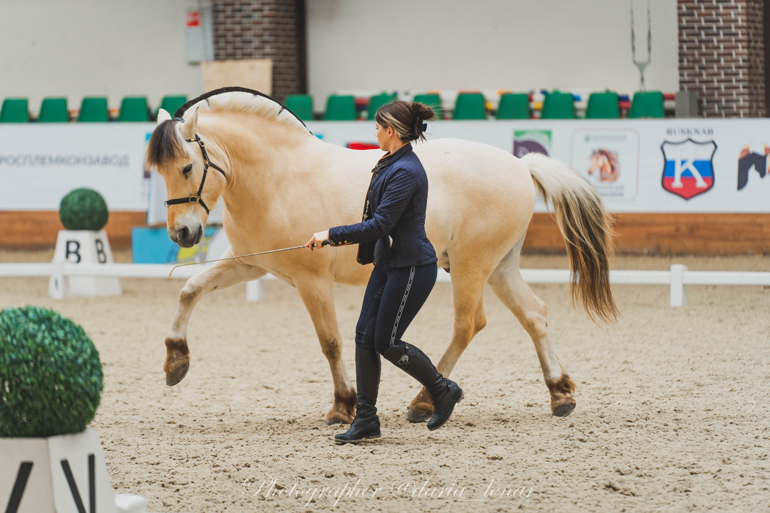 Конные фестивали и мероприятия. Фотограф в Москве Ленарская Дарья