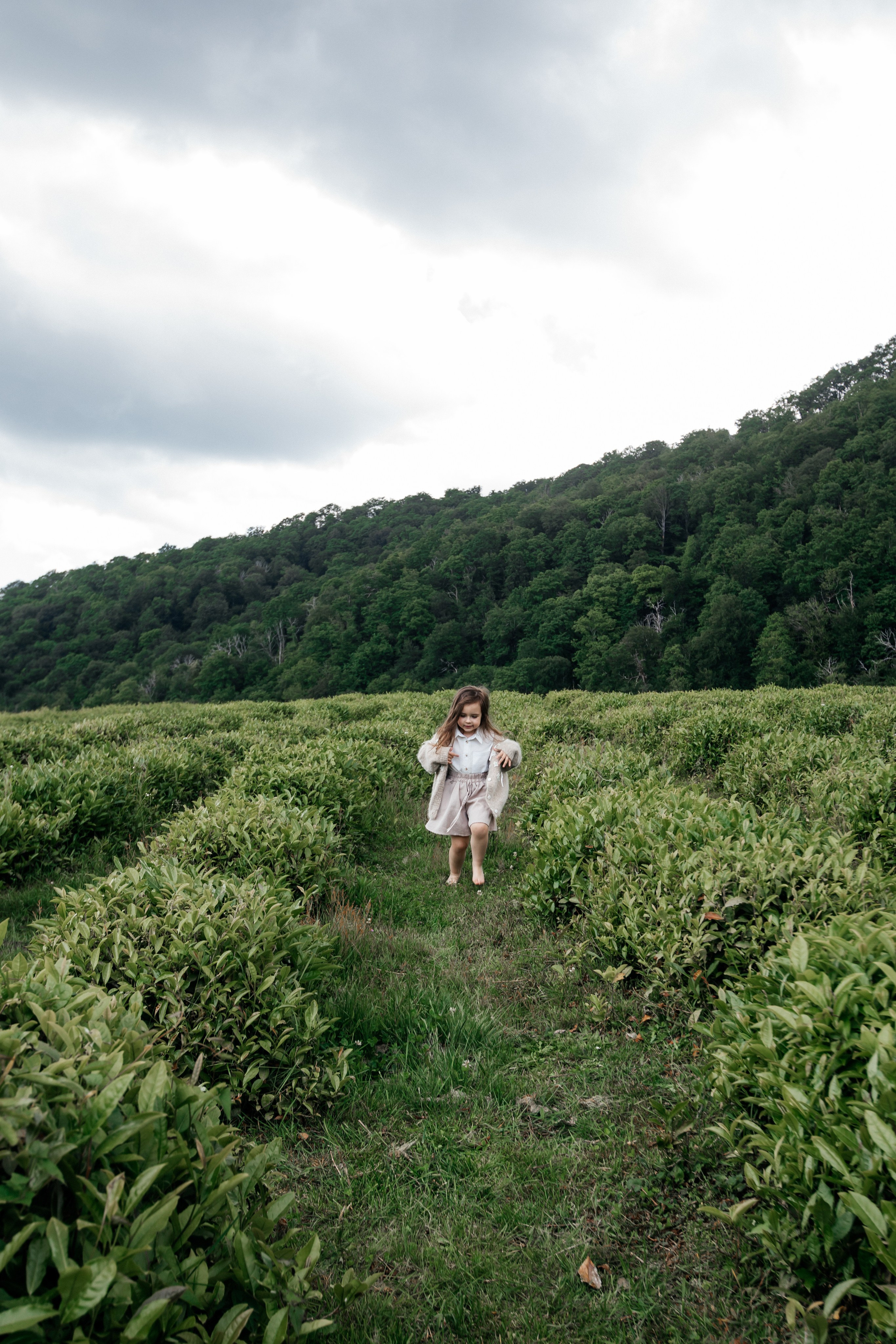 Tea plantation. Efimova Model Agency