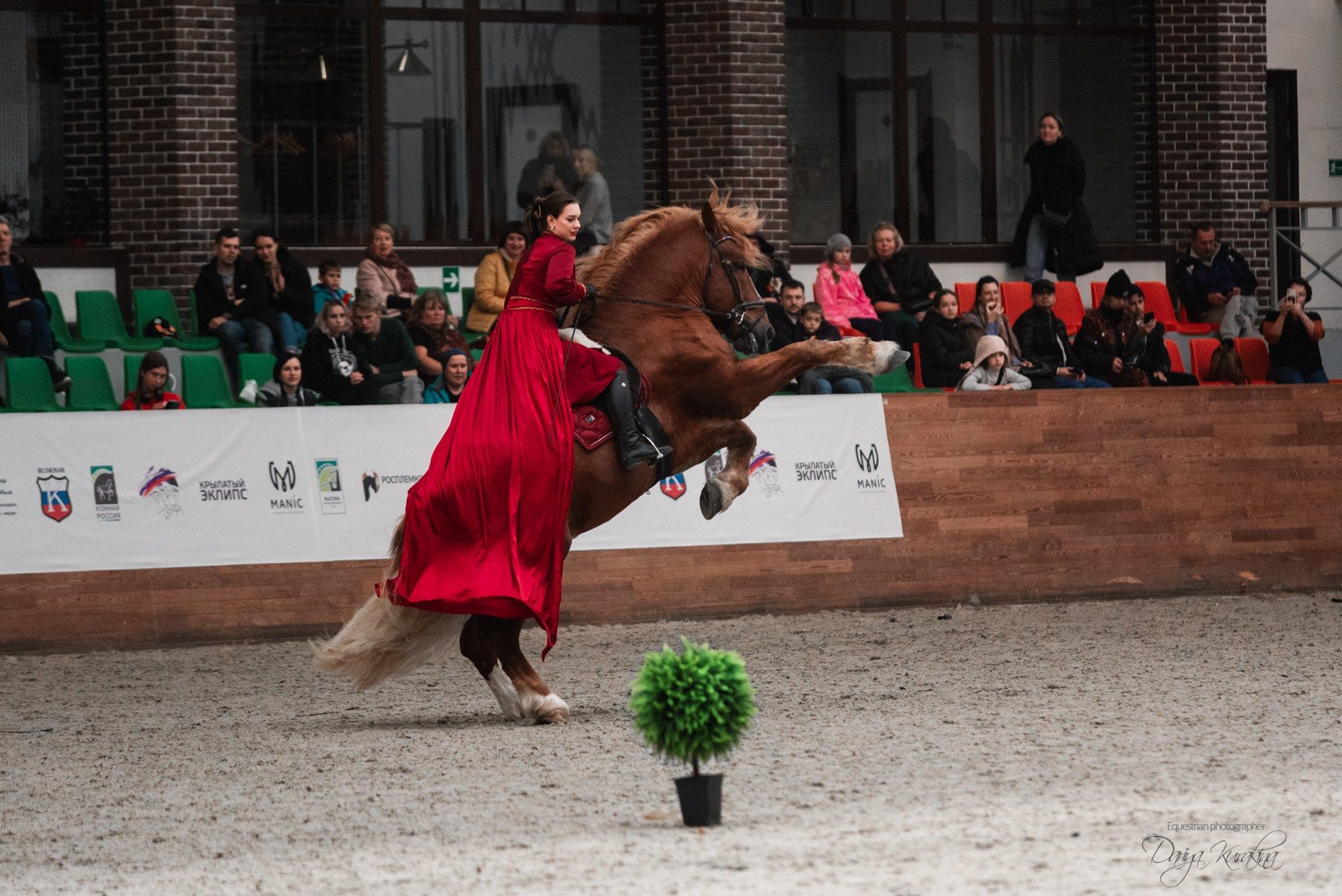 8-я международная выставка Конная Россия. Конный фотограф Куракина Дарья • Фотосессии с лошадьми
