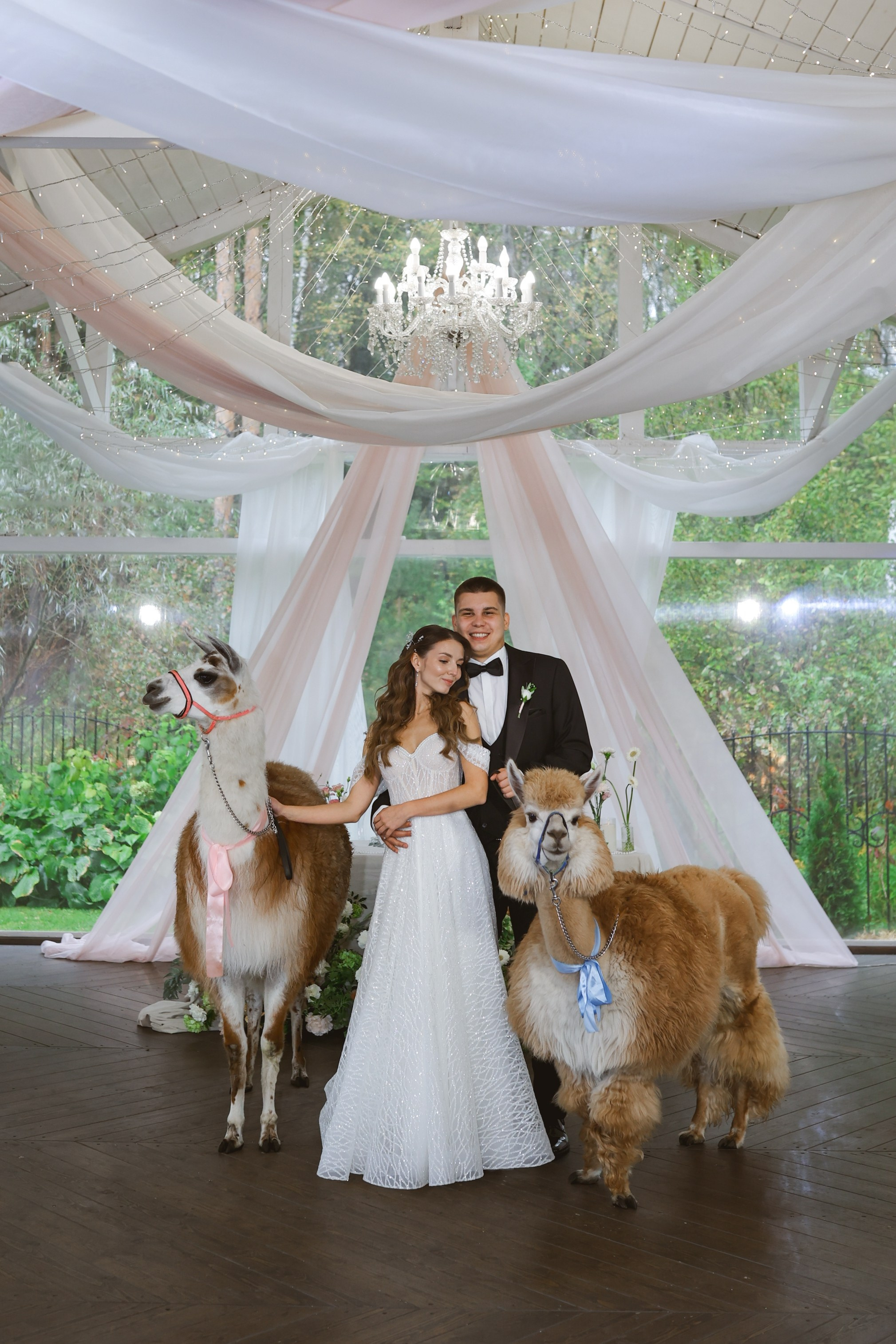 Зеленоградский ЗАГС. Свадебный фотограф Курзина Ольга | Москва