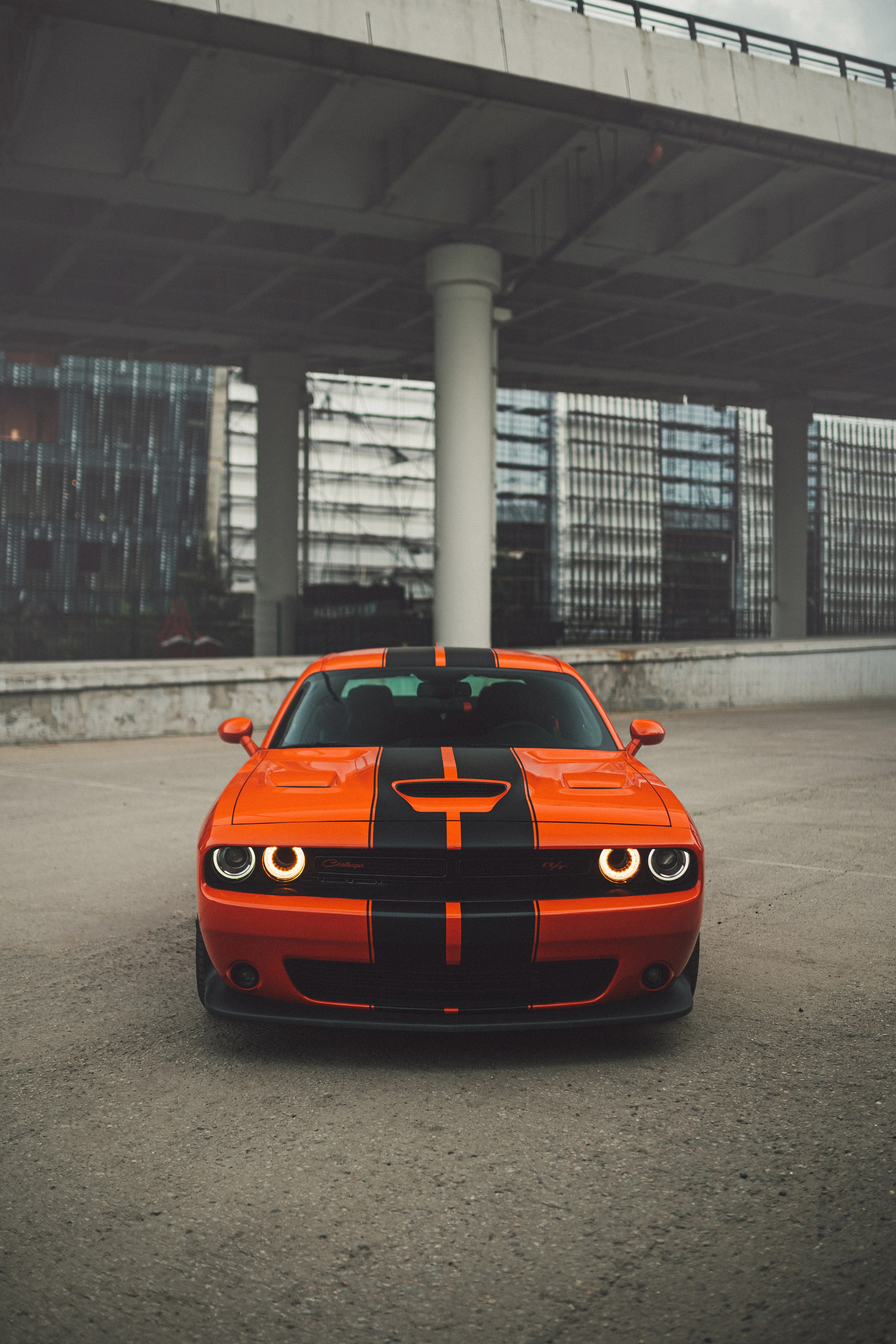 Dodge Challenger by No Sugar Detail. Автомобильный фотограф в Москве | Базилев Александр