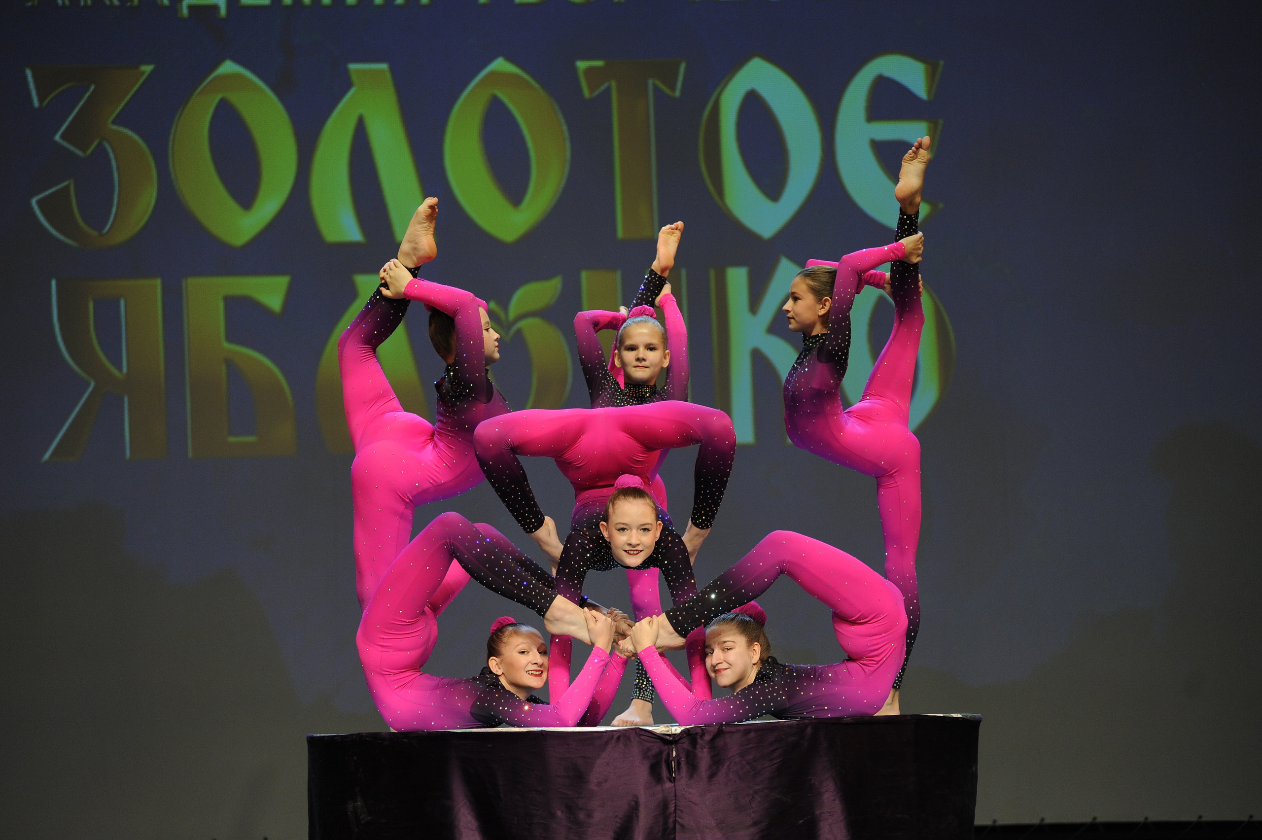 16 ноября, г. Красноярск. Золотое яблочко