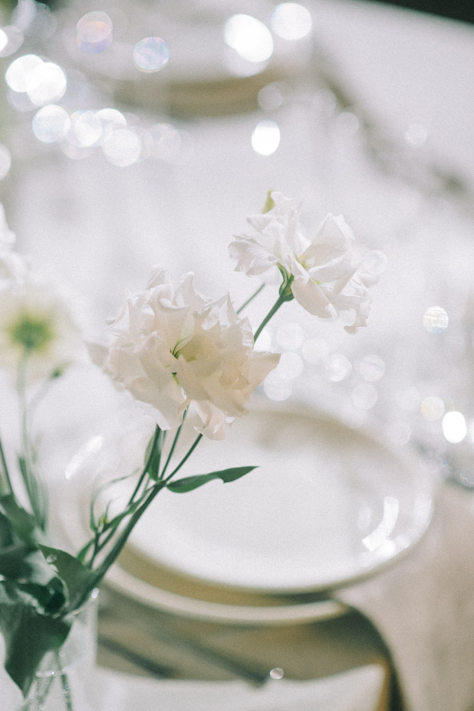 Александр и Валерия. Курск. Свадебный и семейный фотограф в Курске Николай Бусел