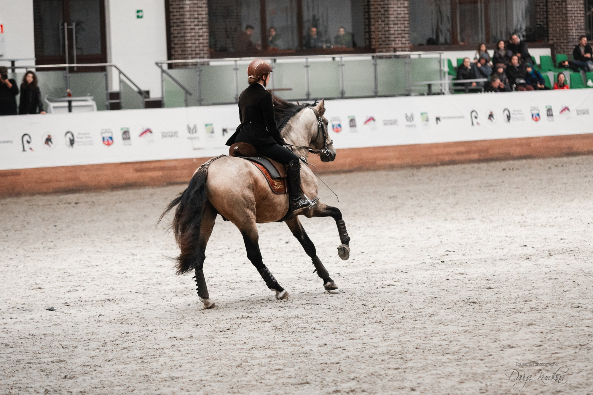 8-я международная выставка Конная Россия. Конный фотограф Куракина Дарья • Фотосессии с лошадьми