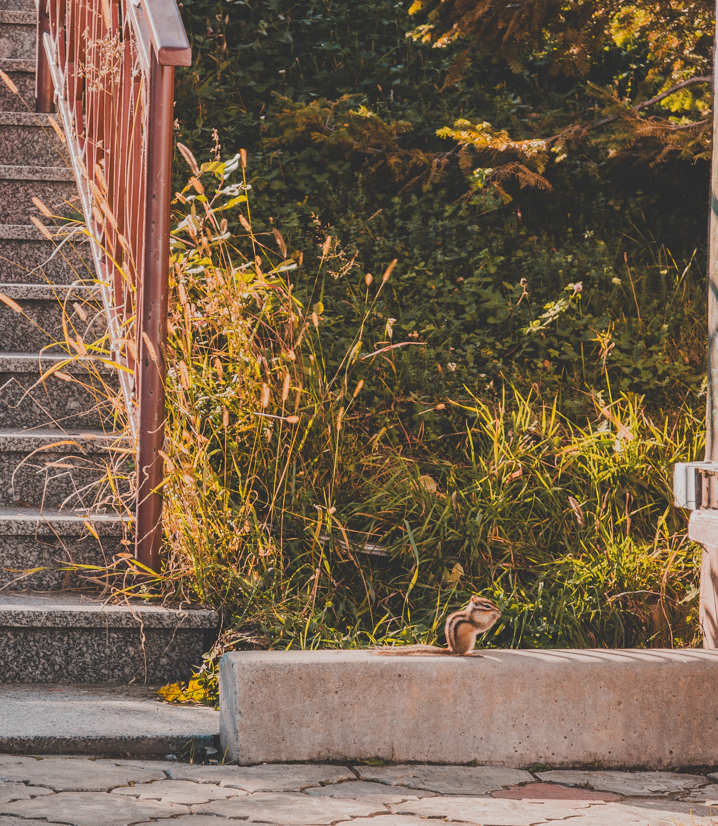 Андрей и Марина. Репортажный фотограф Владислав Остерман