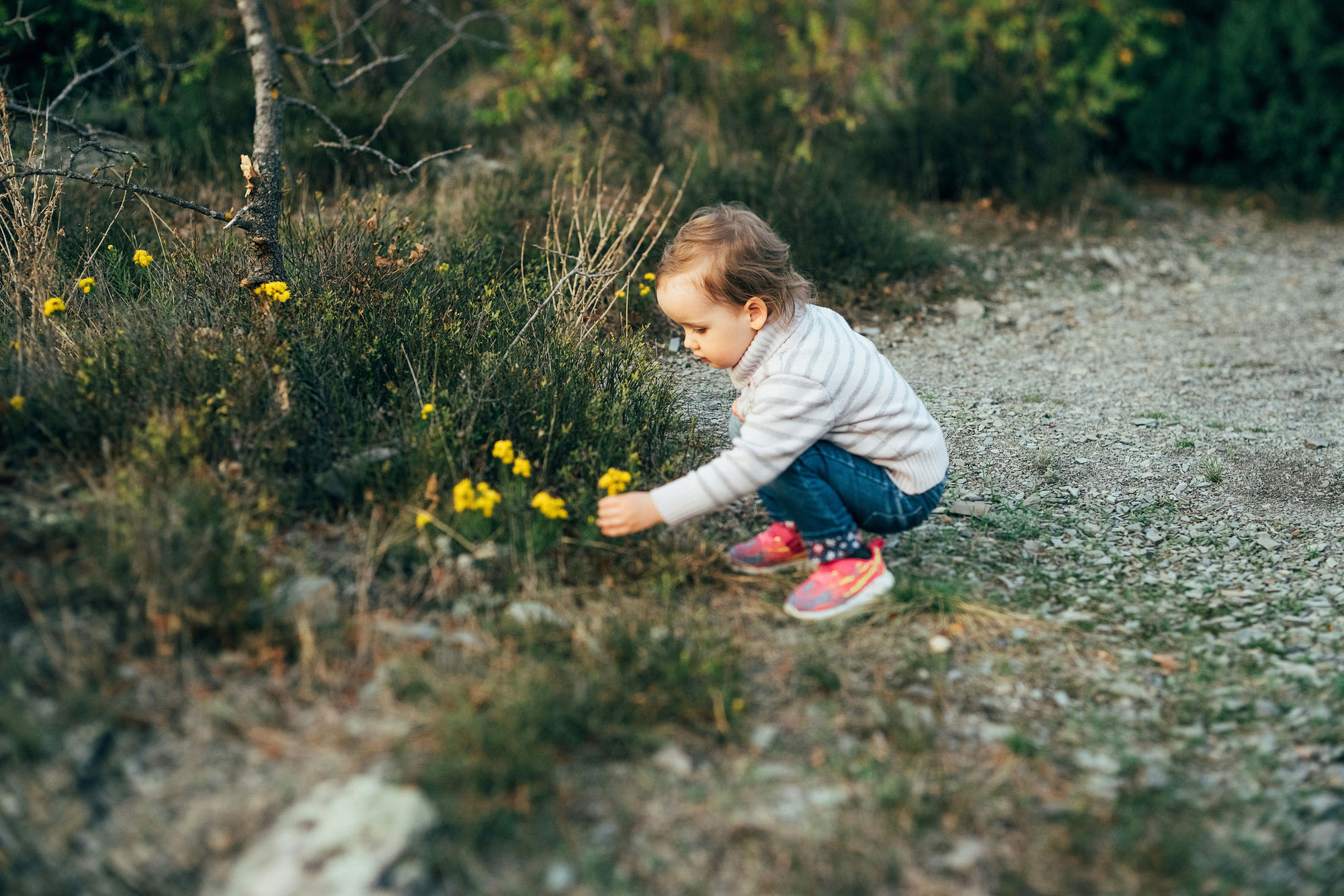 Снимаю с душой! Фотограф Ломакина Юлия. Анапа. 89618282827. Семейный, детский, свадебный, фотограф в городе Анапа