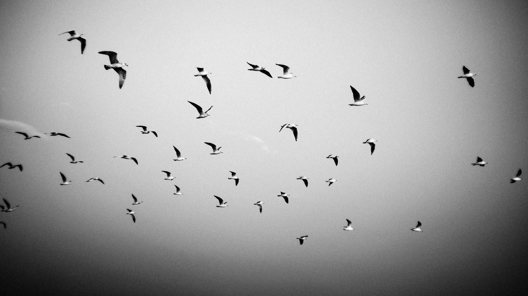 Фотограф анапа витязево. Семейный, детский, свадебный, фотограф в городе Анапа