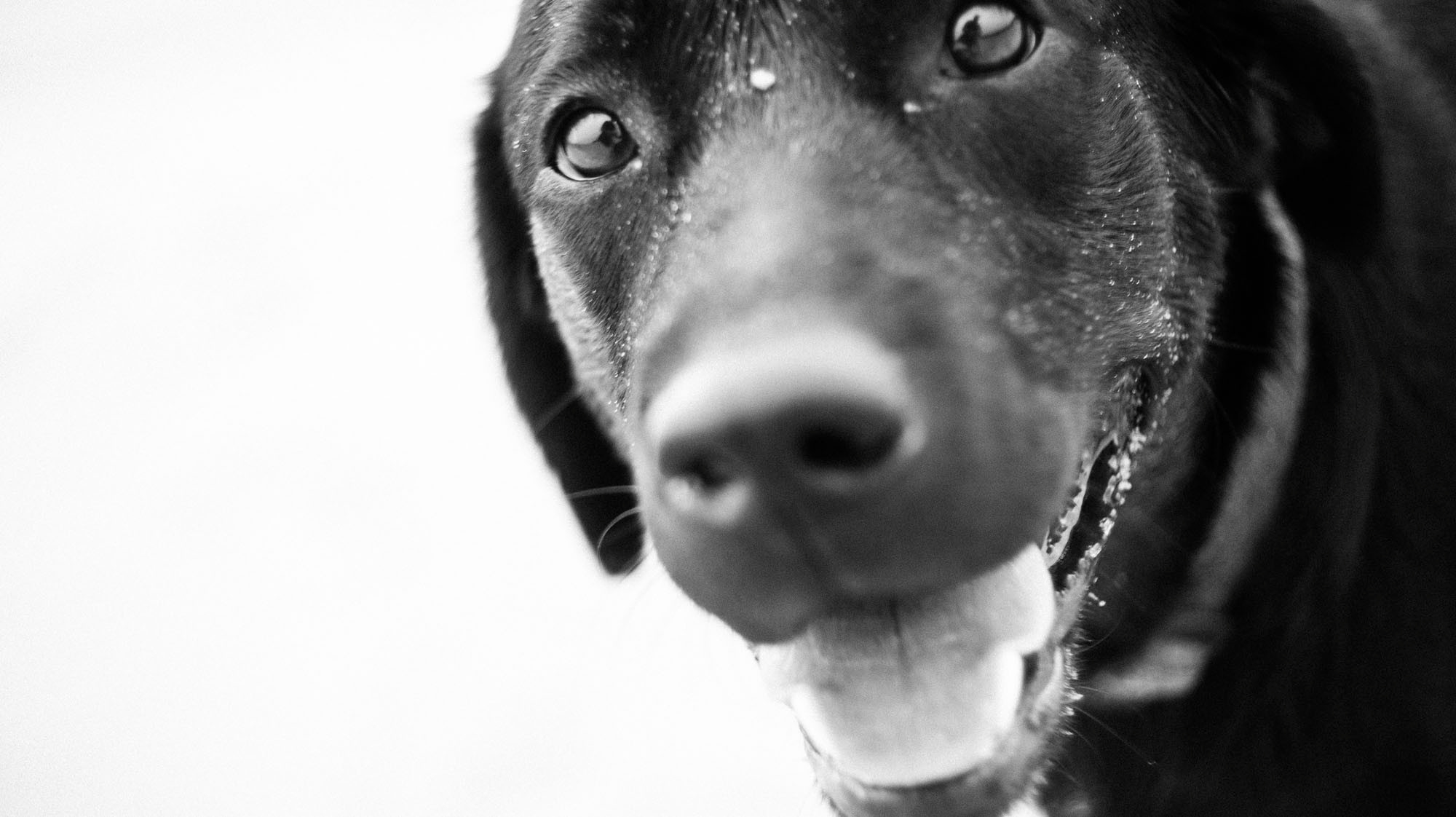 Фотосессия анапа. Семейный, детский, свадебный, фотограф в городе Анапа
