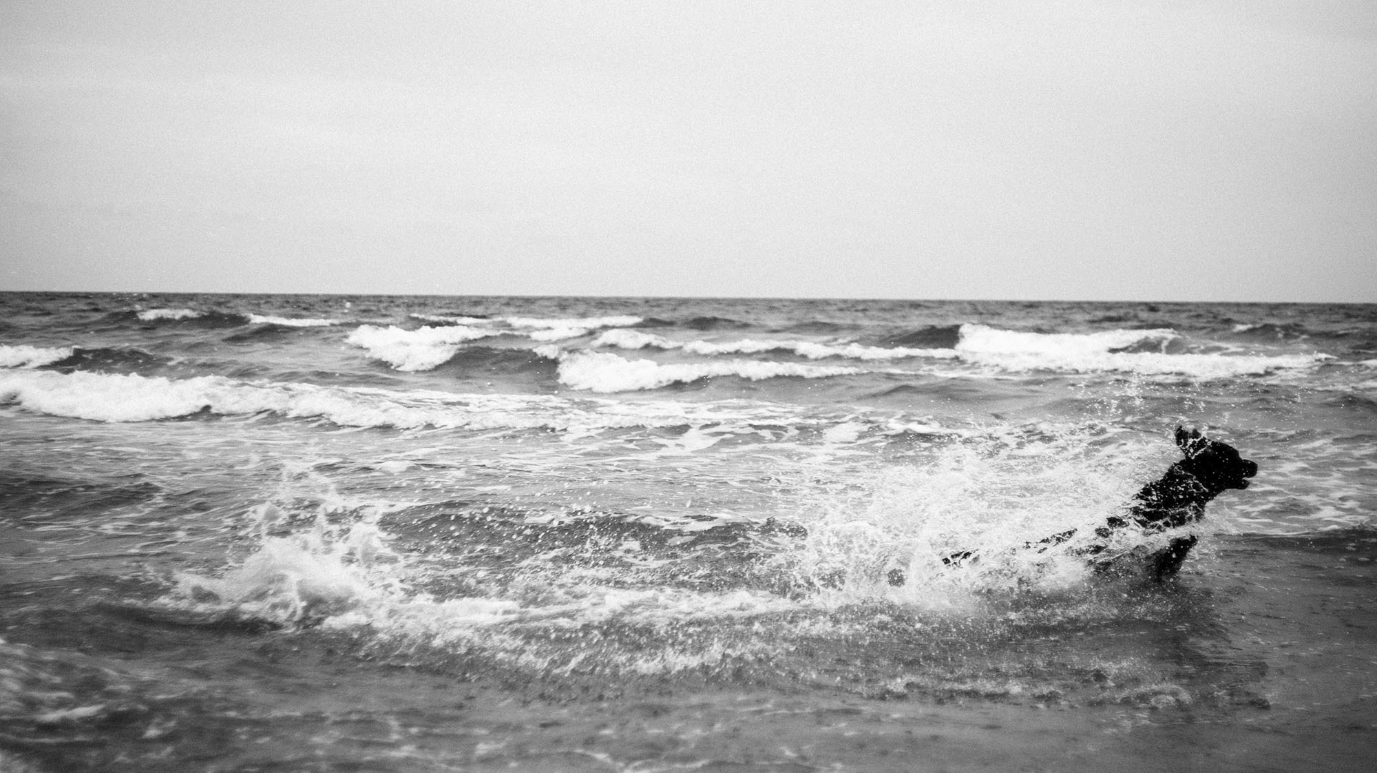 Фотосессия анапа. Семейный, детский, свадебный, фотограф в городе Анапа