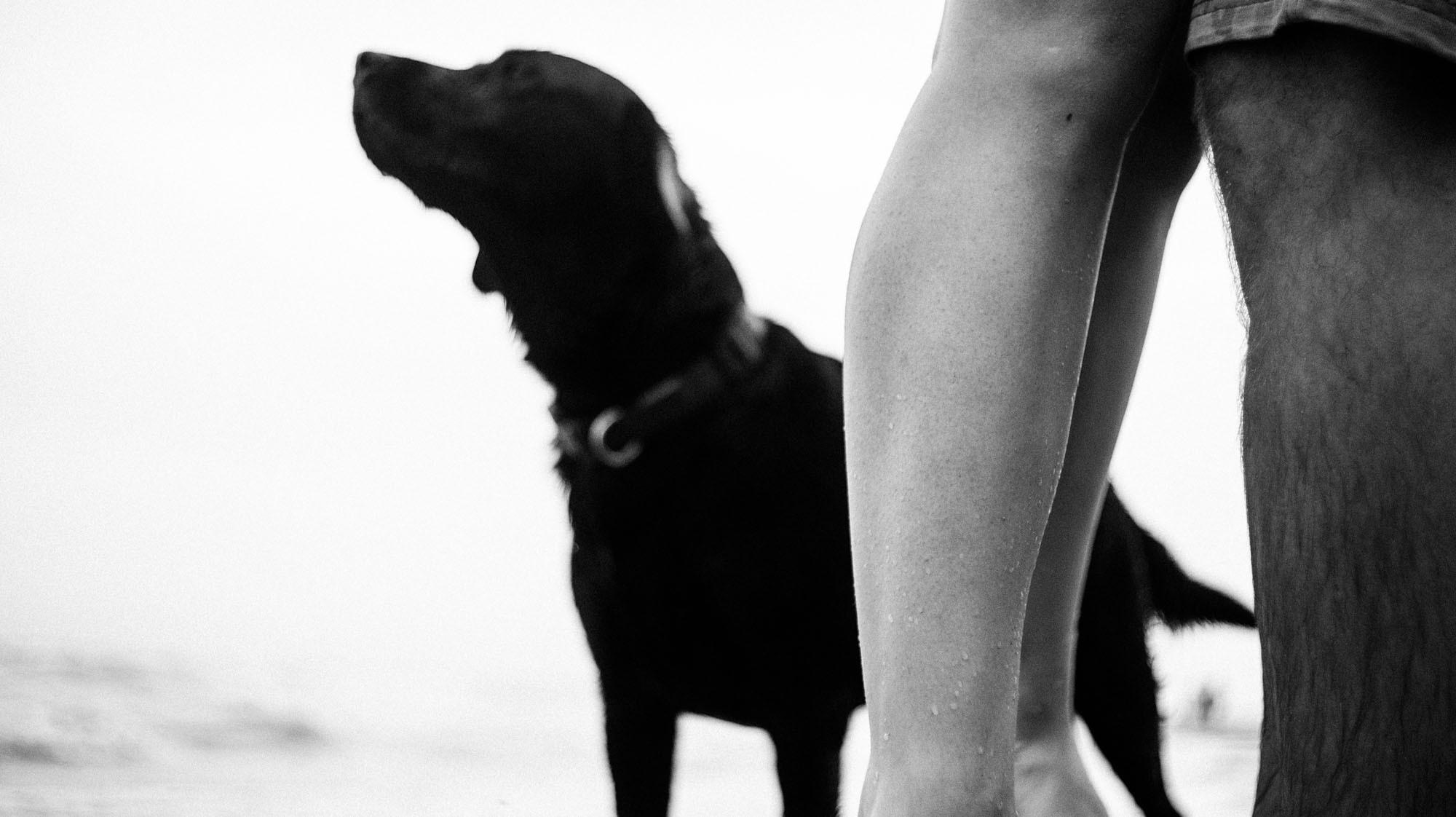 Фотосессия анапа. Семейный, детский, свадебный, фотограф в городе Анапа