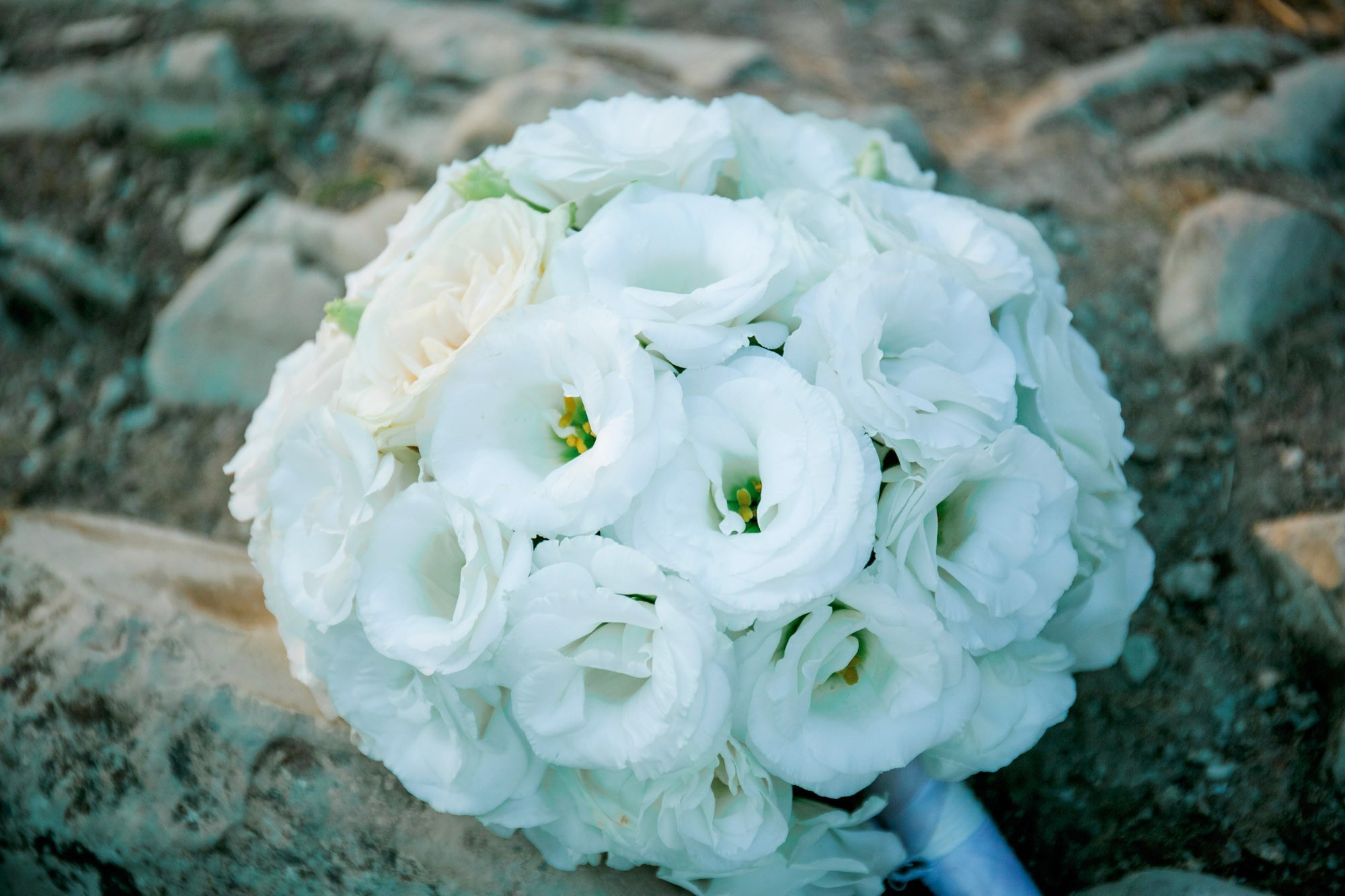 Анапа фотосессия Анапа фотостудия Фотограф анапа. Семейный, детский, свадебный, фотограф в городе Анапа