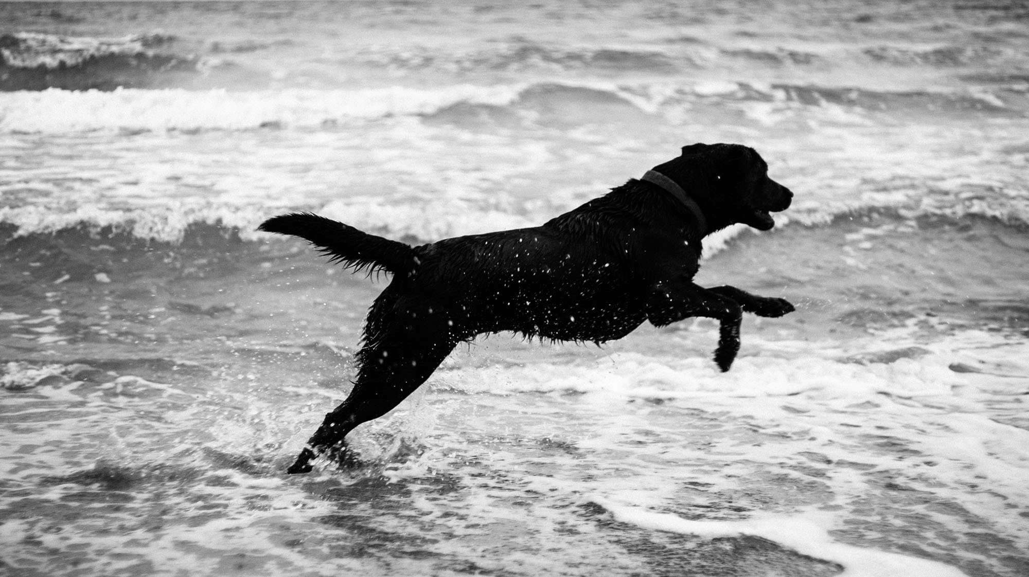 Фотосессия анапа. Семейный, детский, свадебный, фотограф в городе Анапа
