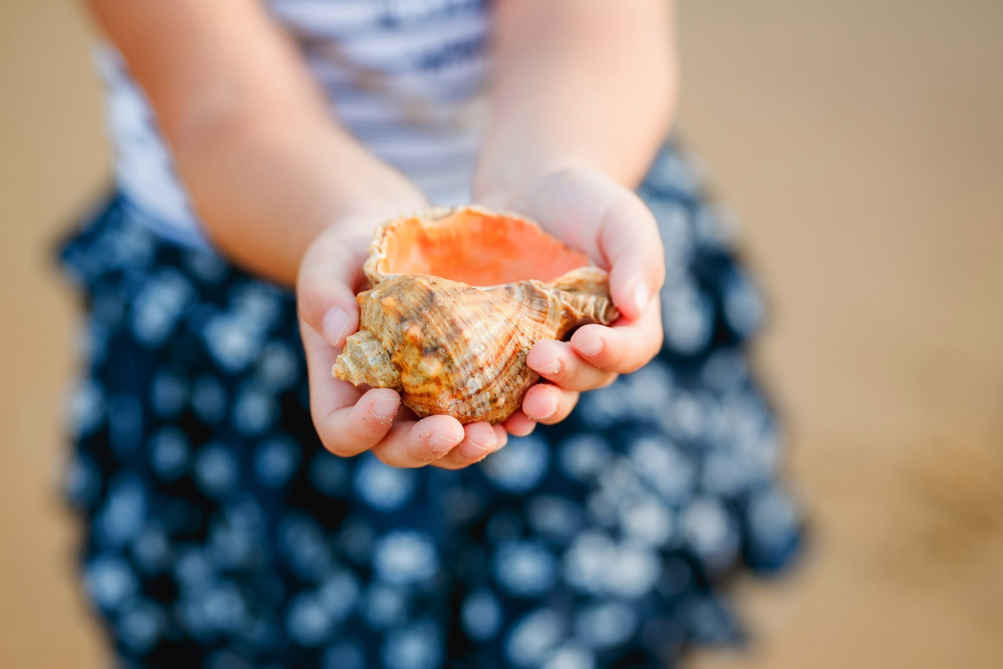 Анапа фотосессия Анапа фотостудия Фотограф анапа. Семейный, детский, свадебный, фотограф в городе Анапа