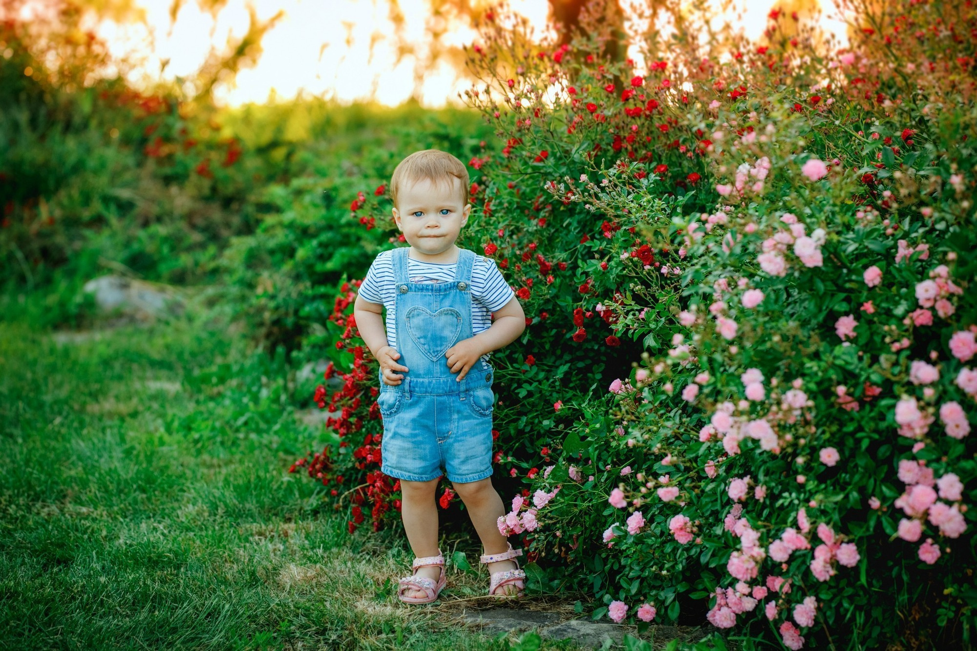 Анапа фотосессия Анапа фотостудия Фотограф анапа. Семейный, детский, свадебный, фотограф в городе Анапа