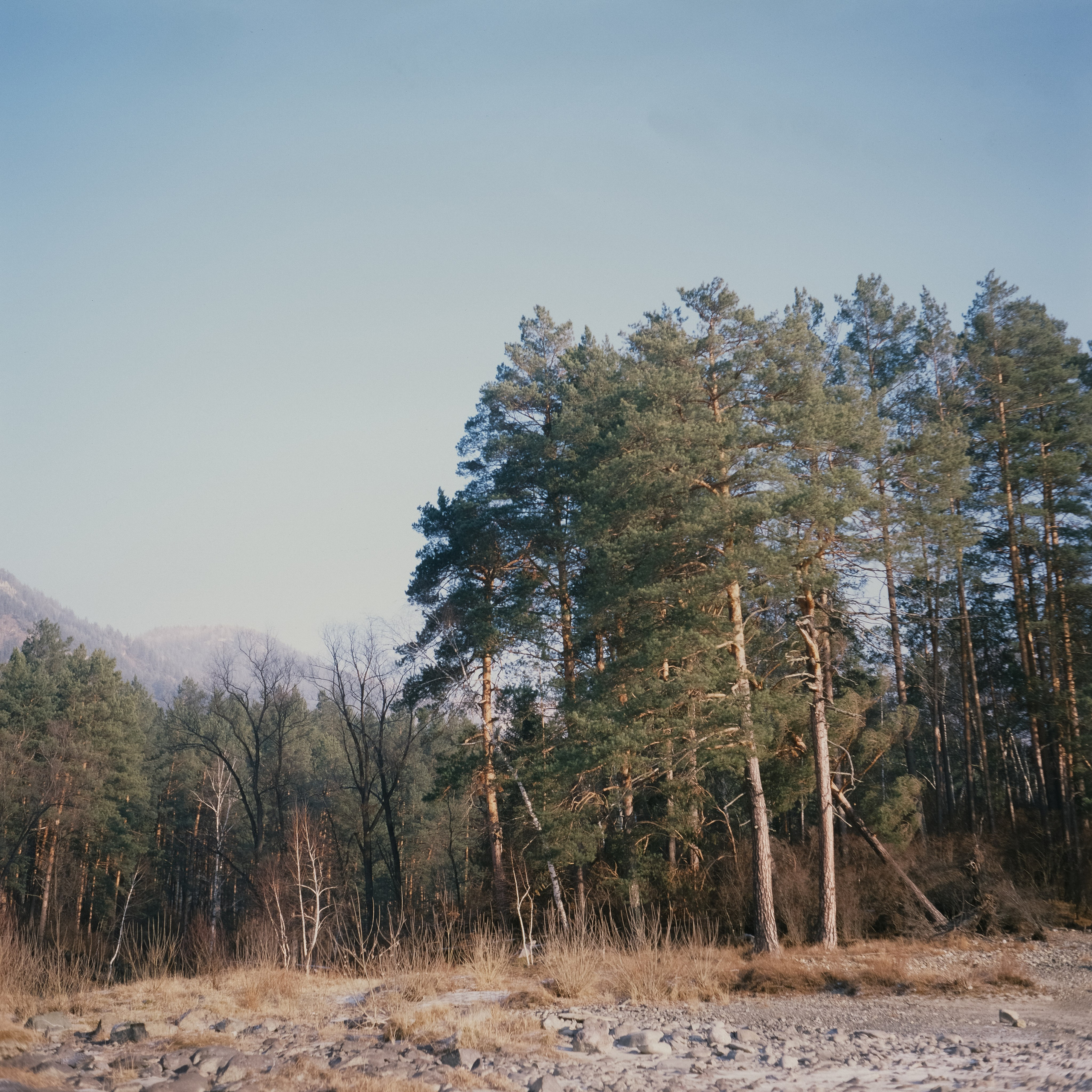 База Берель, поле у вертолетной площадки / 13 декабря 2023 года (-33℃)